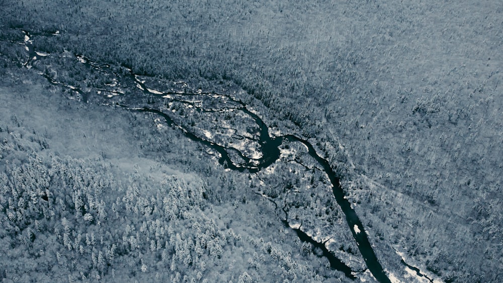 an aerial view of a river running through a forest