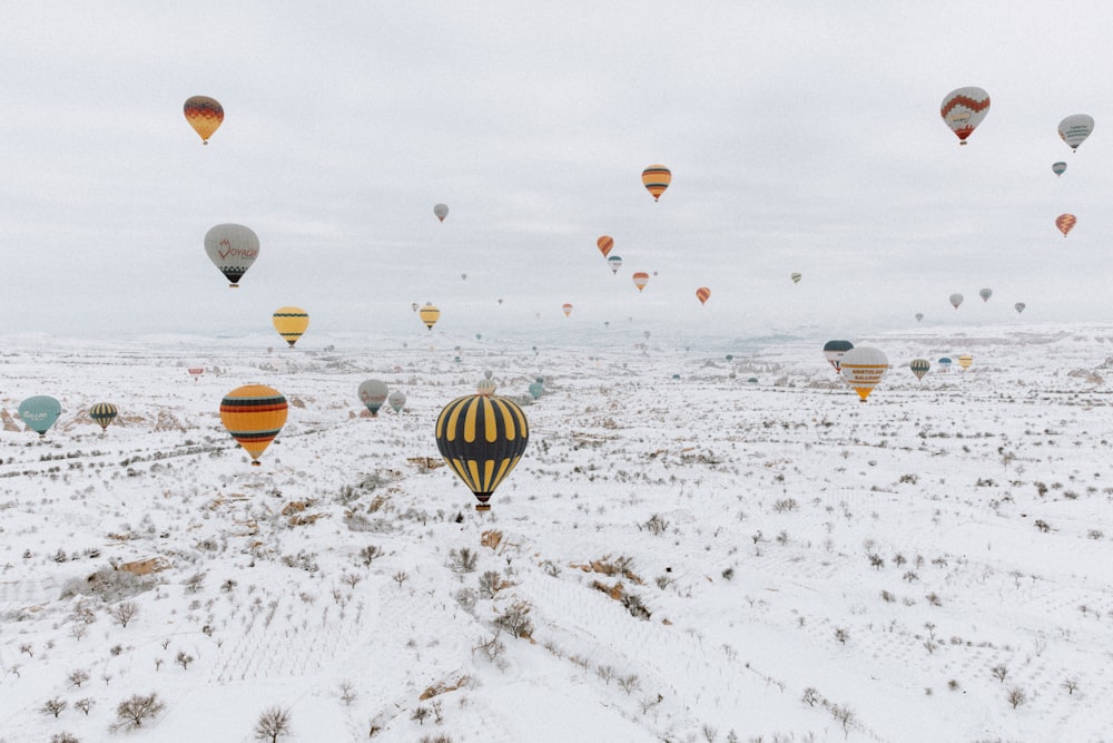 a large number of hot air balloons in the sky