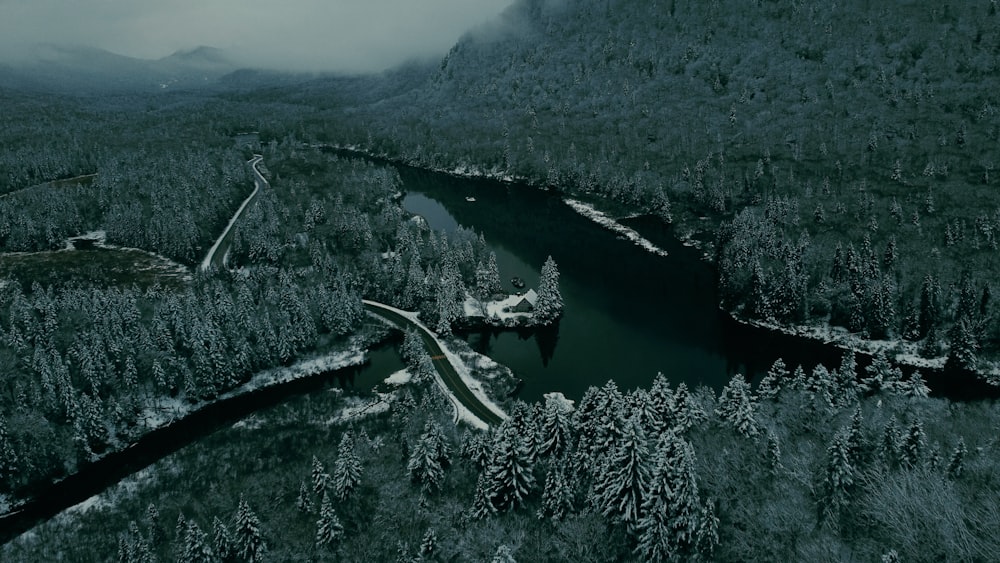 an aerial view of a river in the middle of a forest