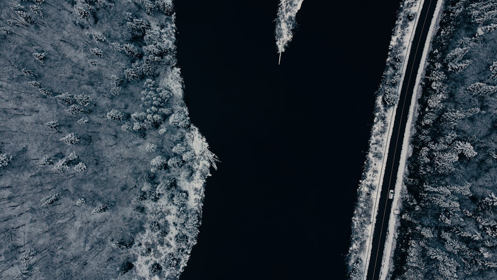 an aerial view of a body of water surrounded by trees