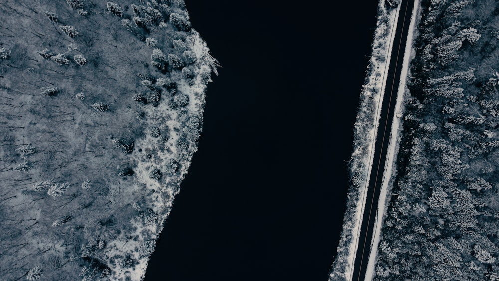 an aerial view of a body of water surrounded by trees