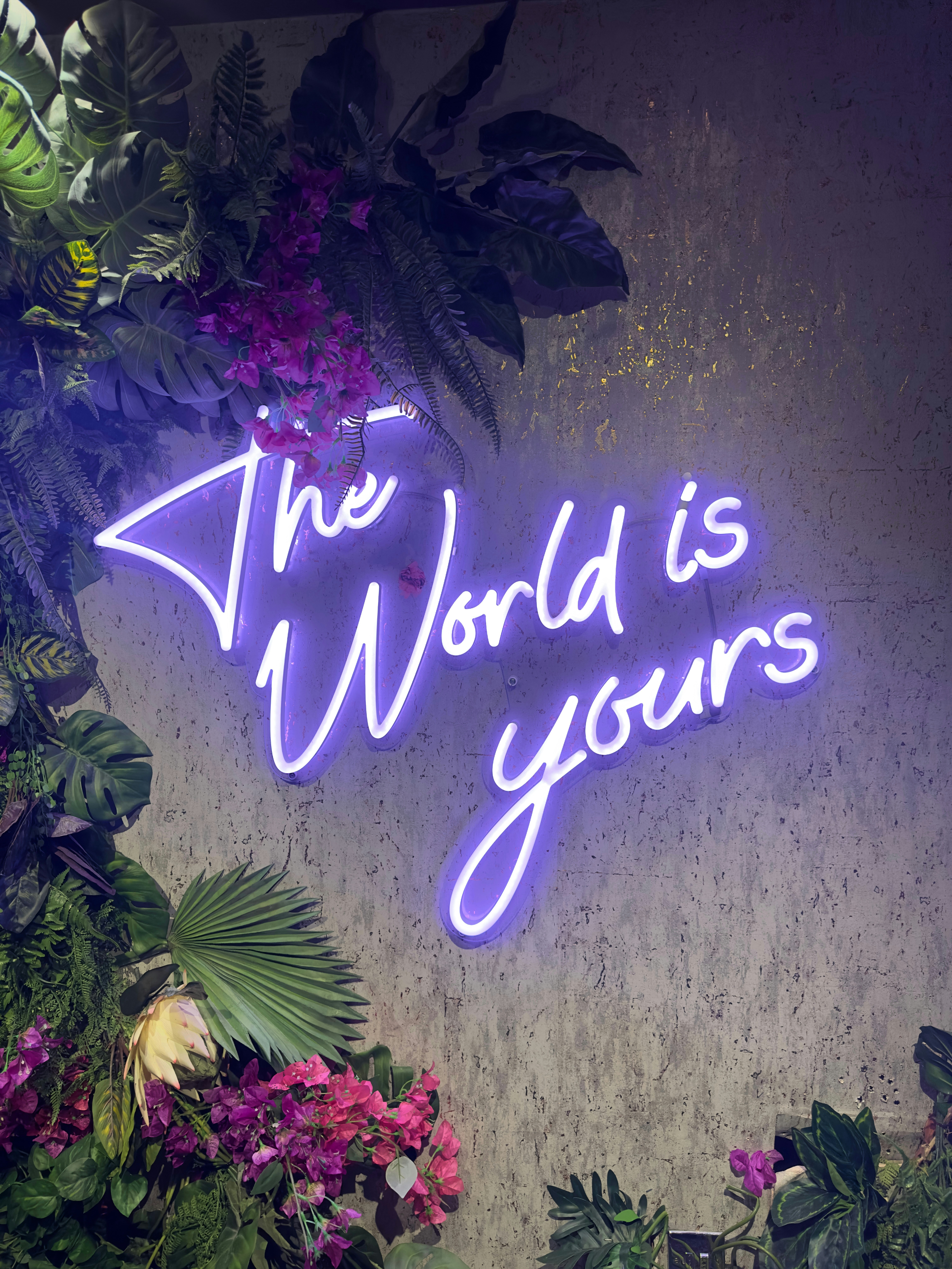 세상은 당신의 것이라고 말하는 네온 사인