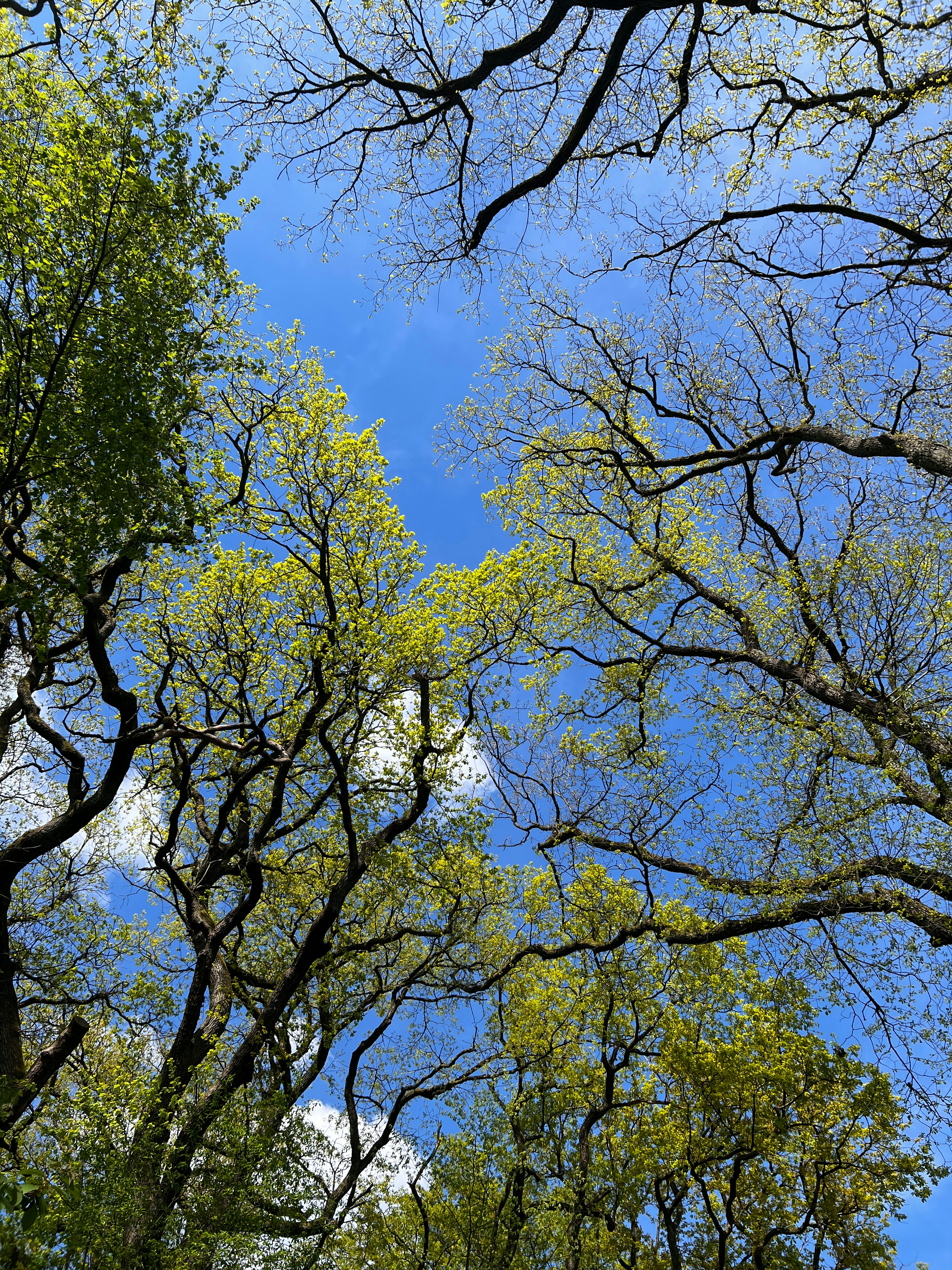 Photo by wald_creations