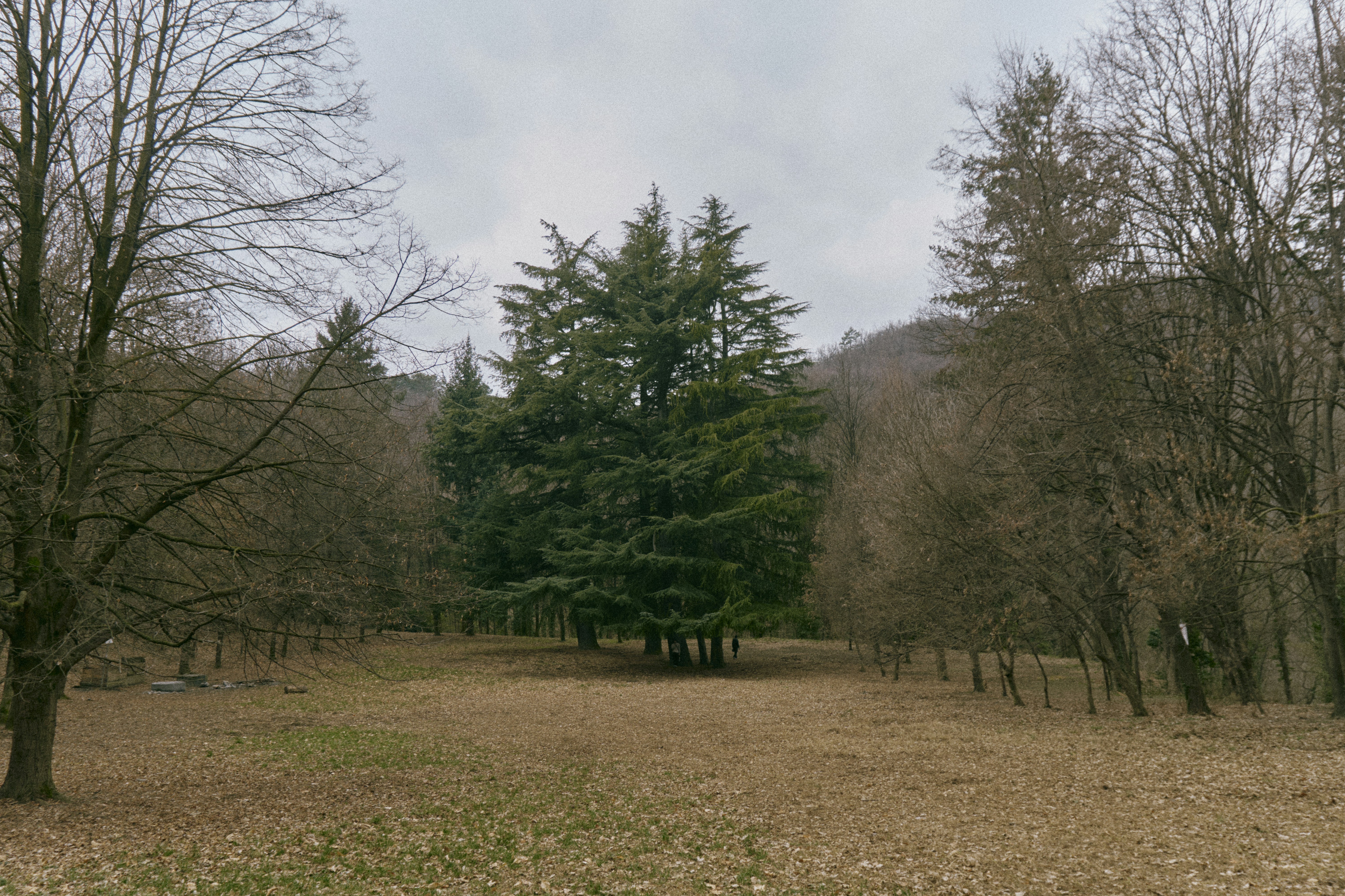 Photo by cesttse