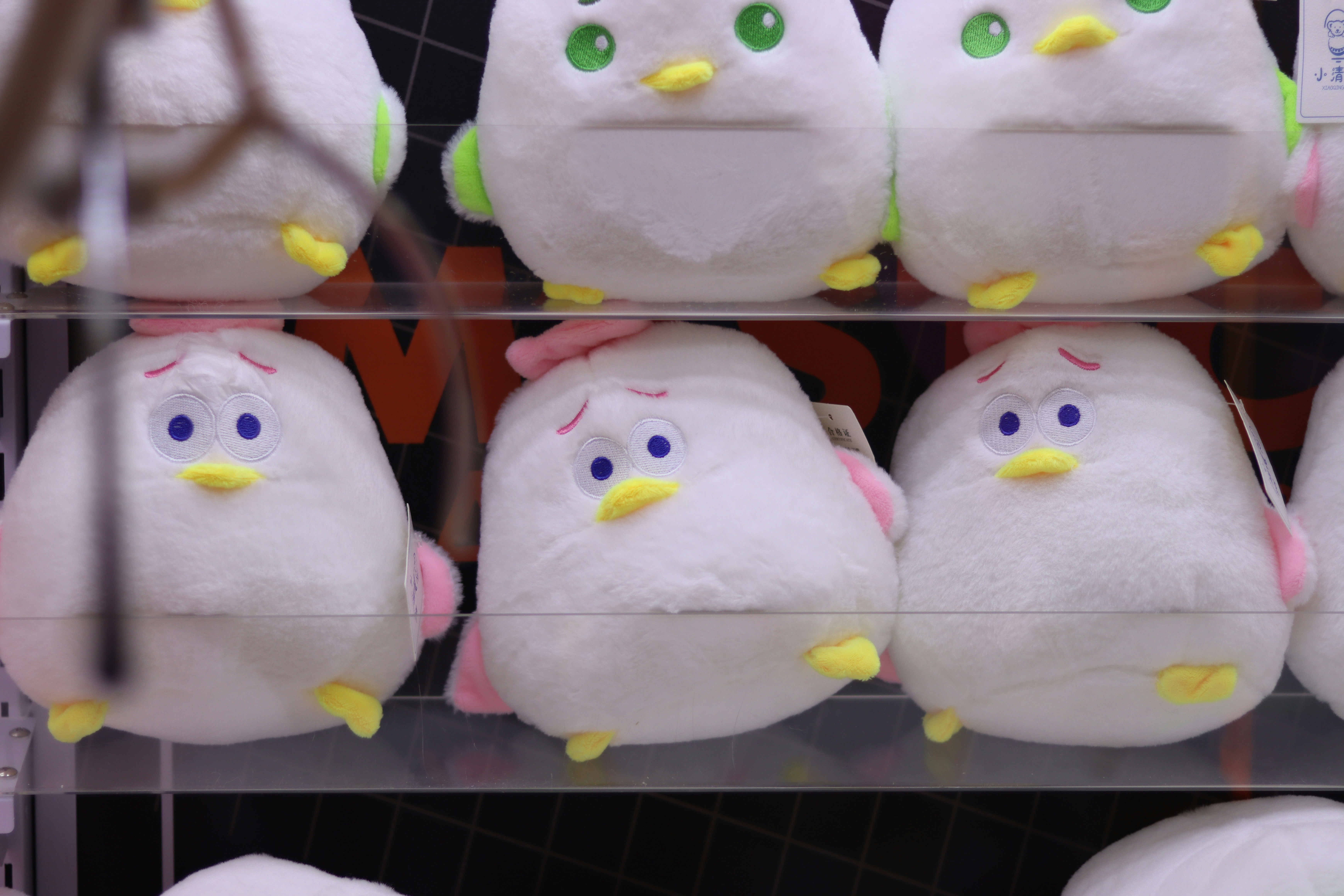 Photo by exploringzhongguo