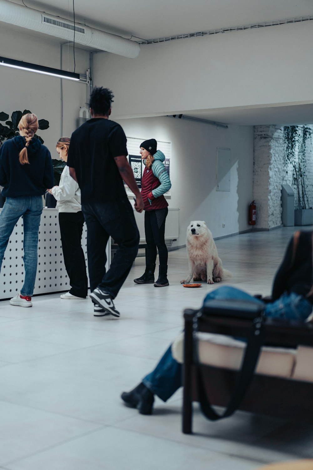 a group of people standing around a white dog