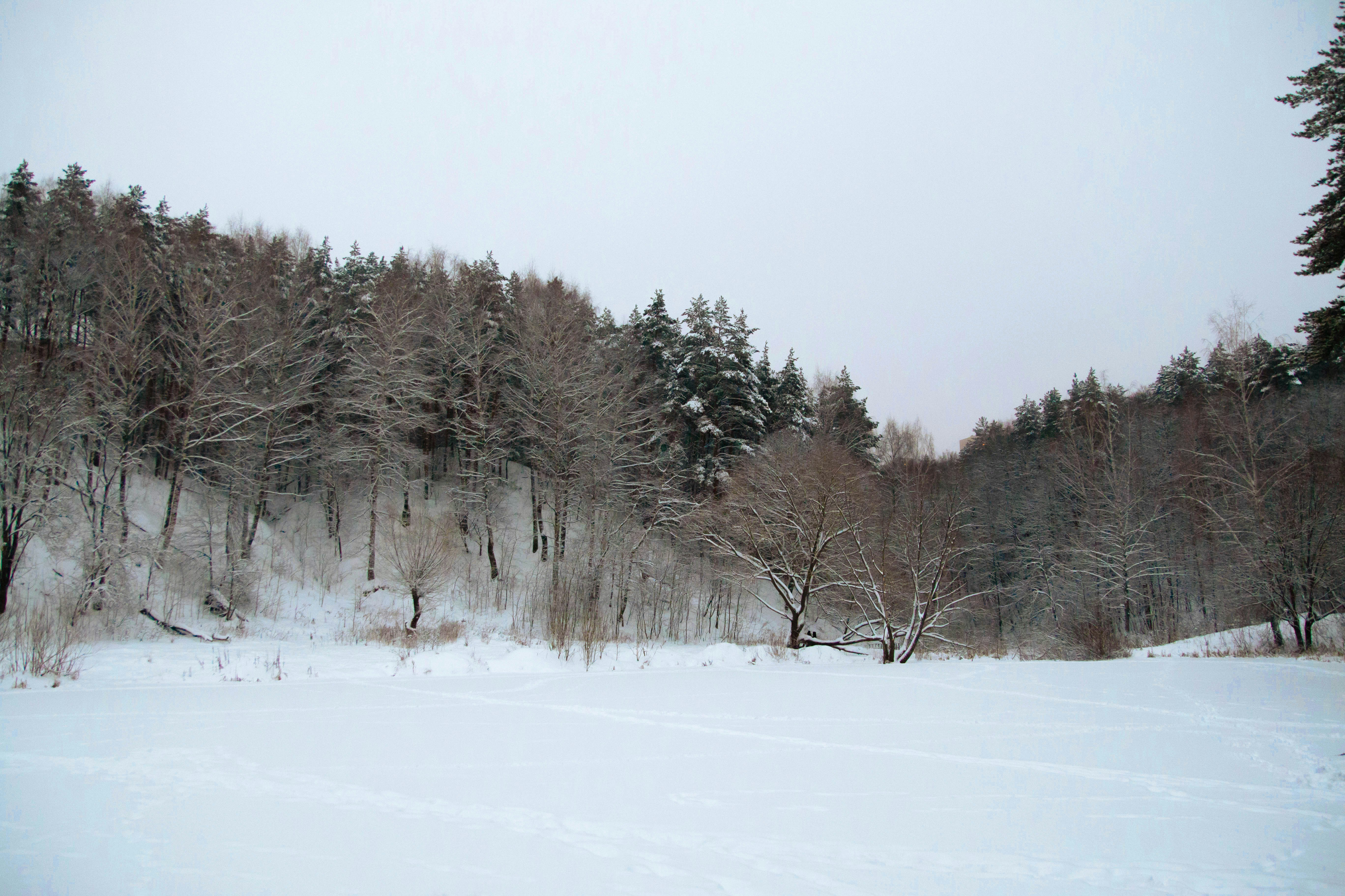 Image by MAKSIM ZAVIKTORIN via Unsplash