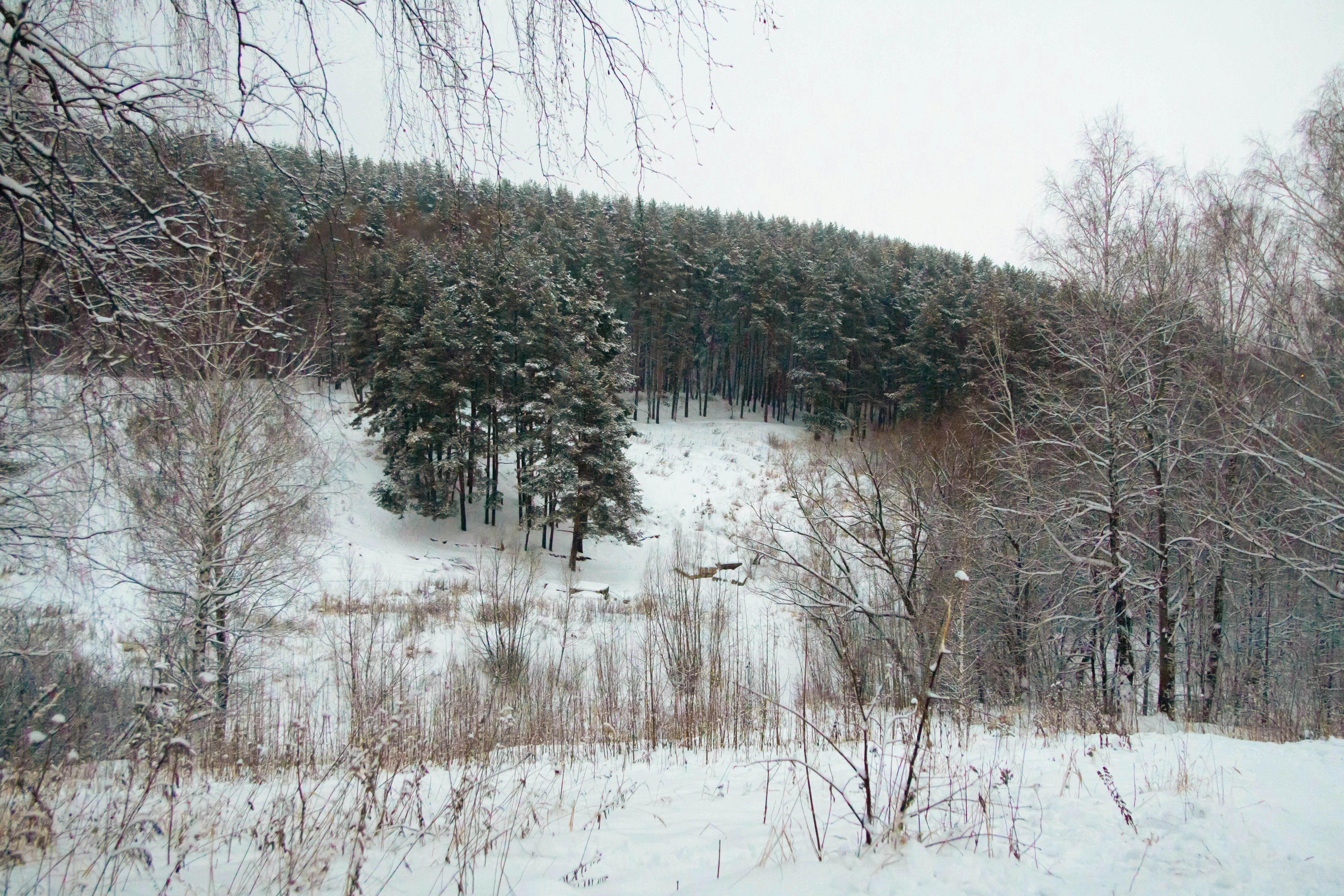 Photo by maksimzaviktorin