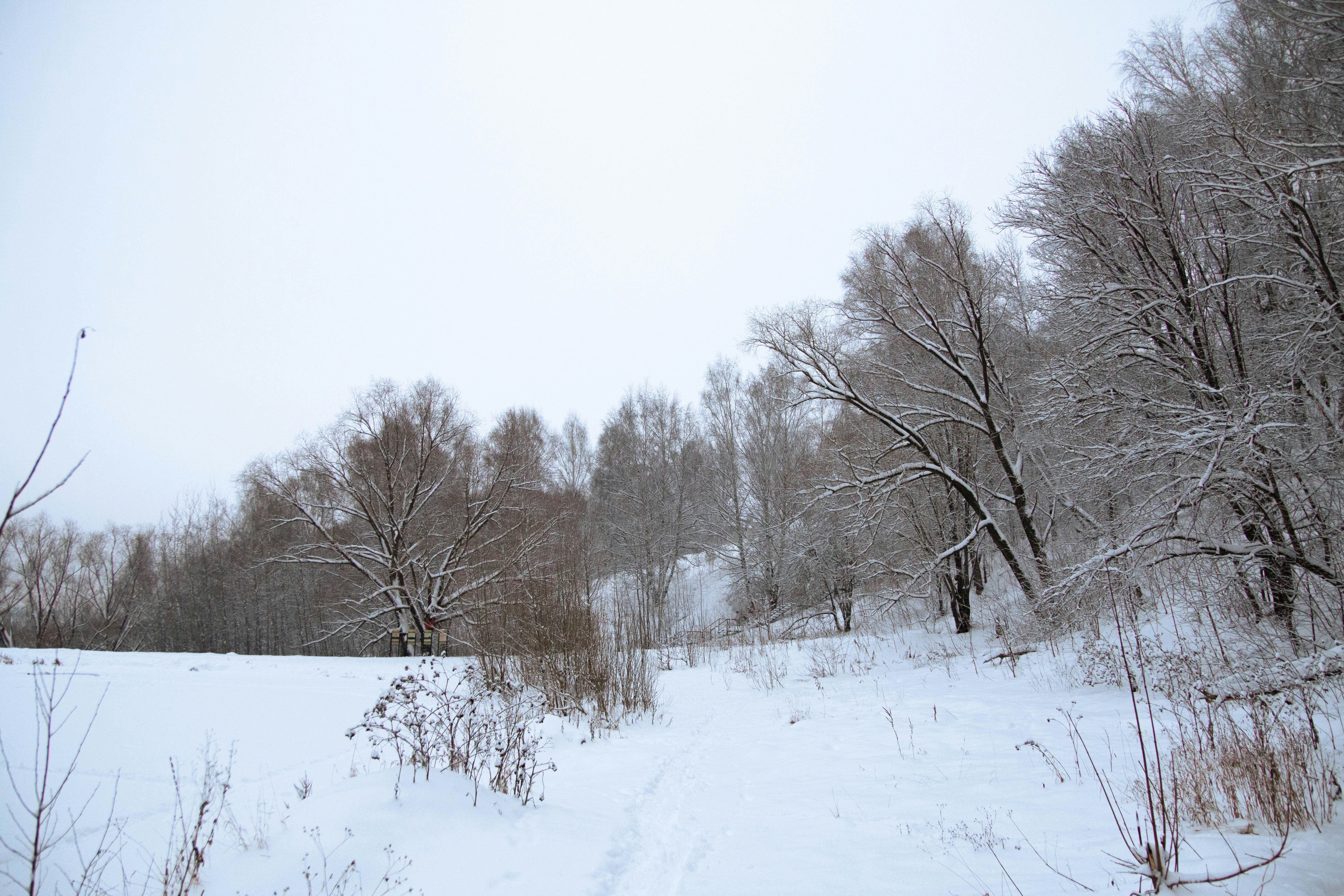 Photo by maksimzaviktorin