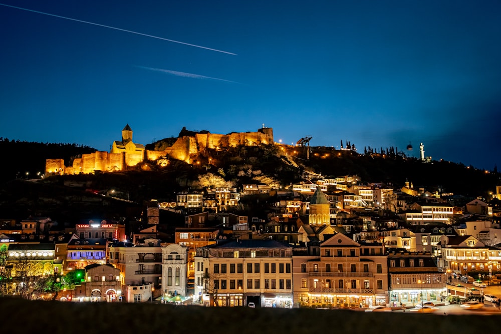 a night view of a city with a castle on a hill