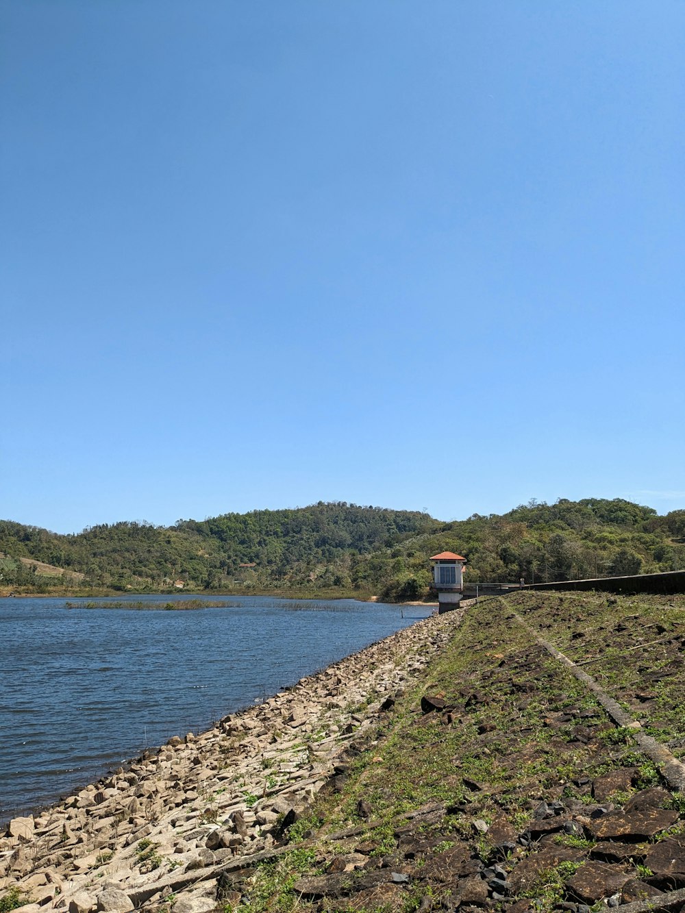 a body of water sitting next to a lush green hillside