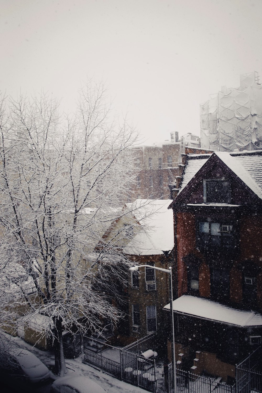 a snowy day in a neighborhood with houses and trees