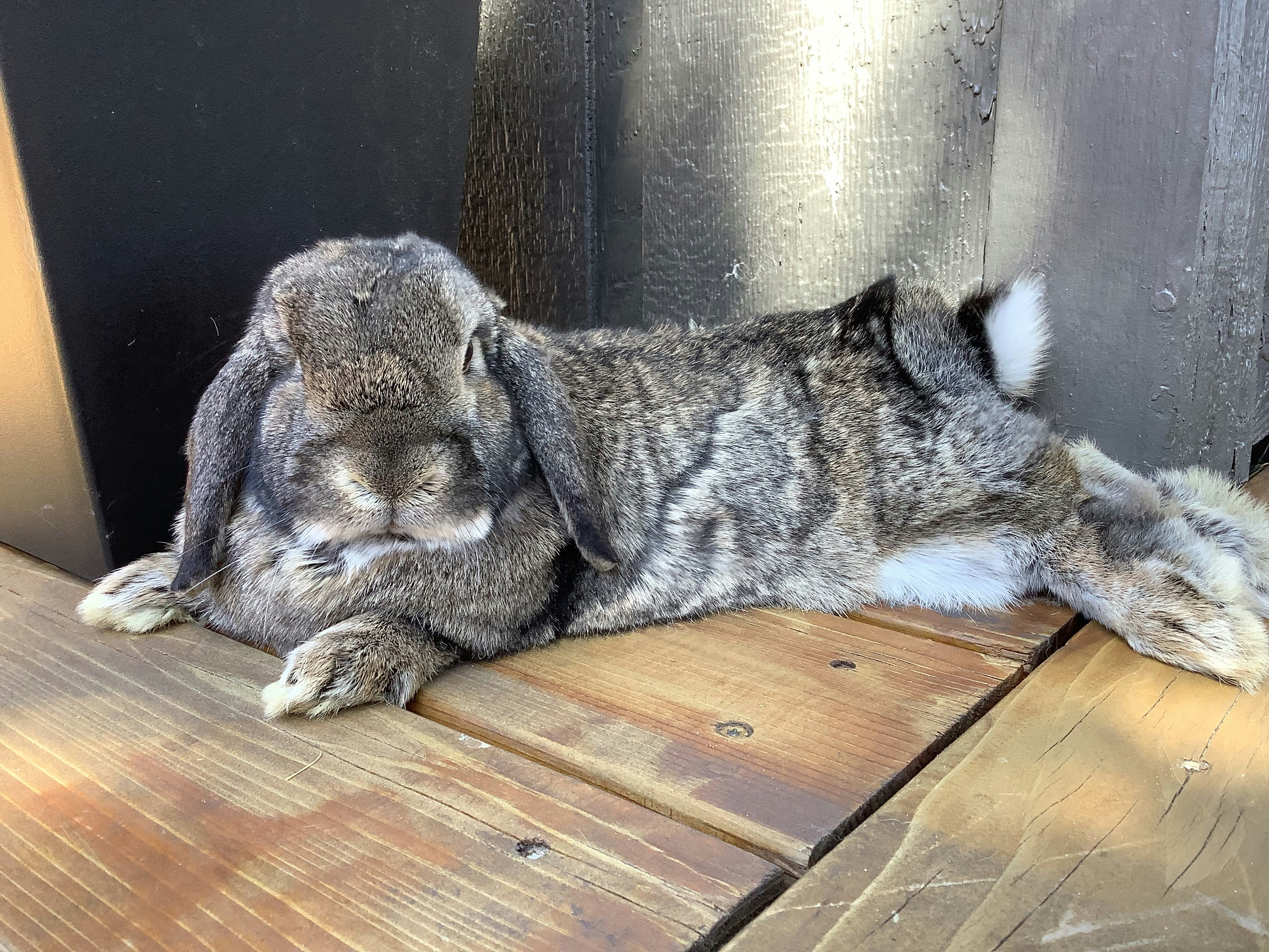 Unexpected Friendships: Lessons for Us All (image credits: unsplash)