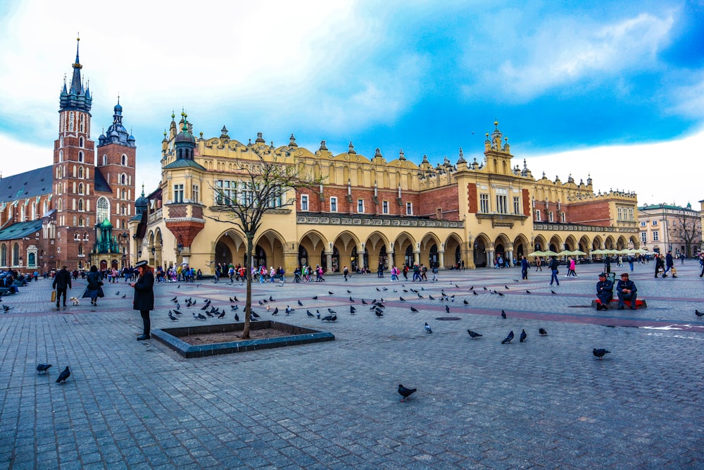 a large building with a lot of birds around it