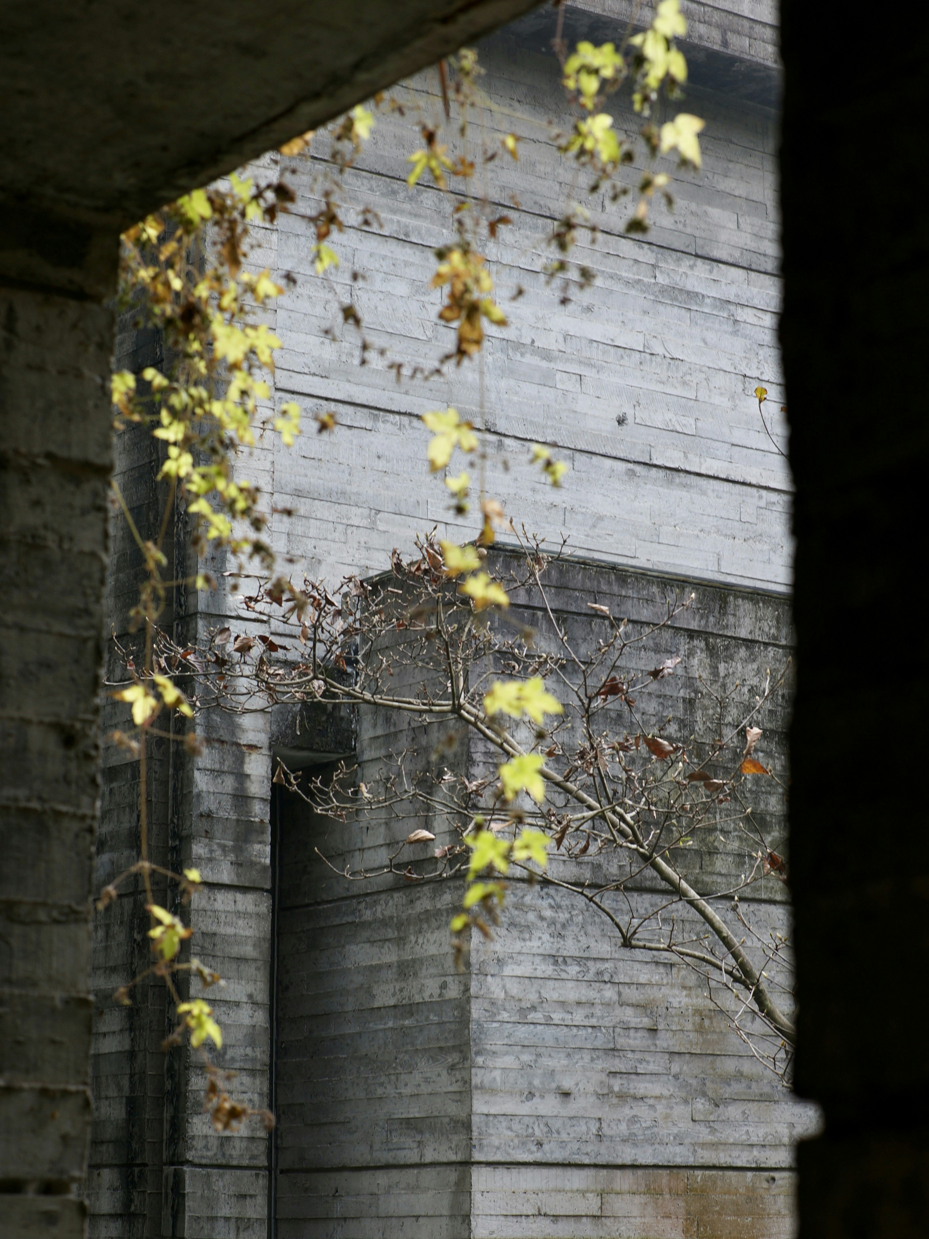 Photo by orson_krennic