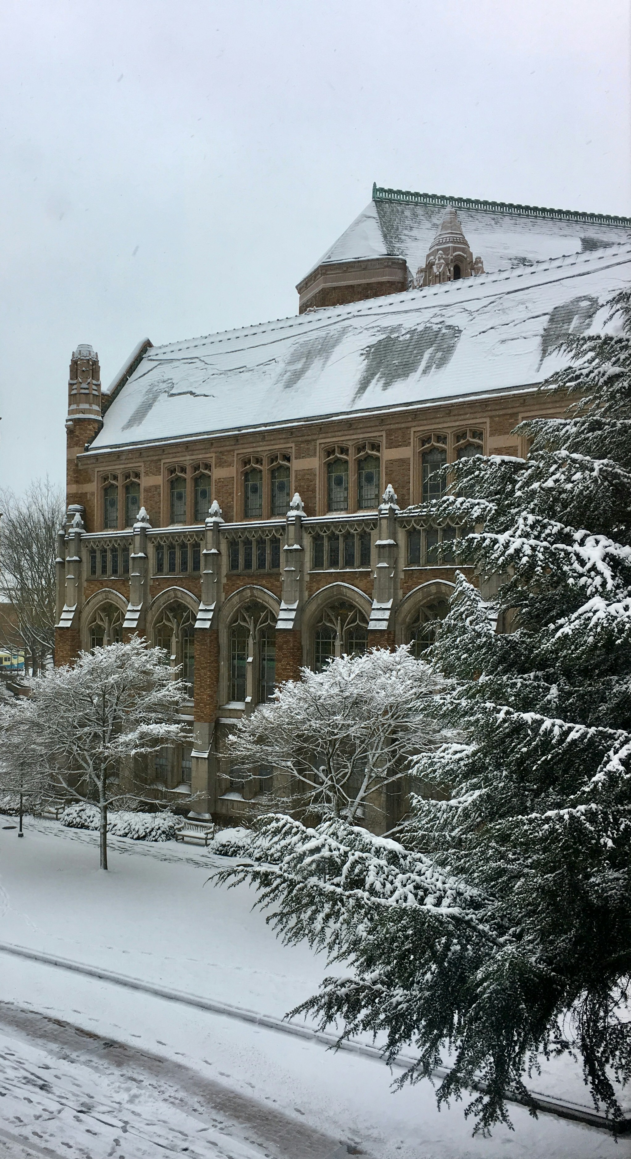 Photo by zoshuacolah