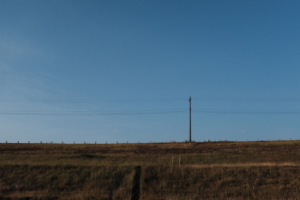 a field with a telephone pole in the distance