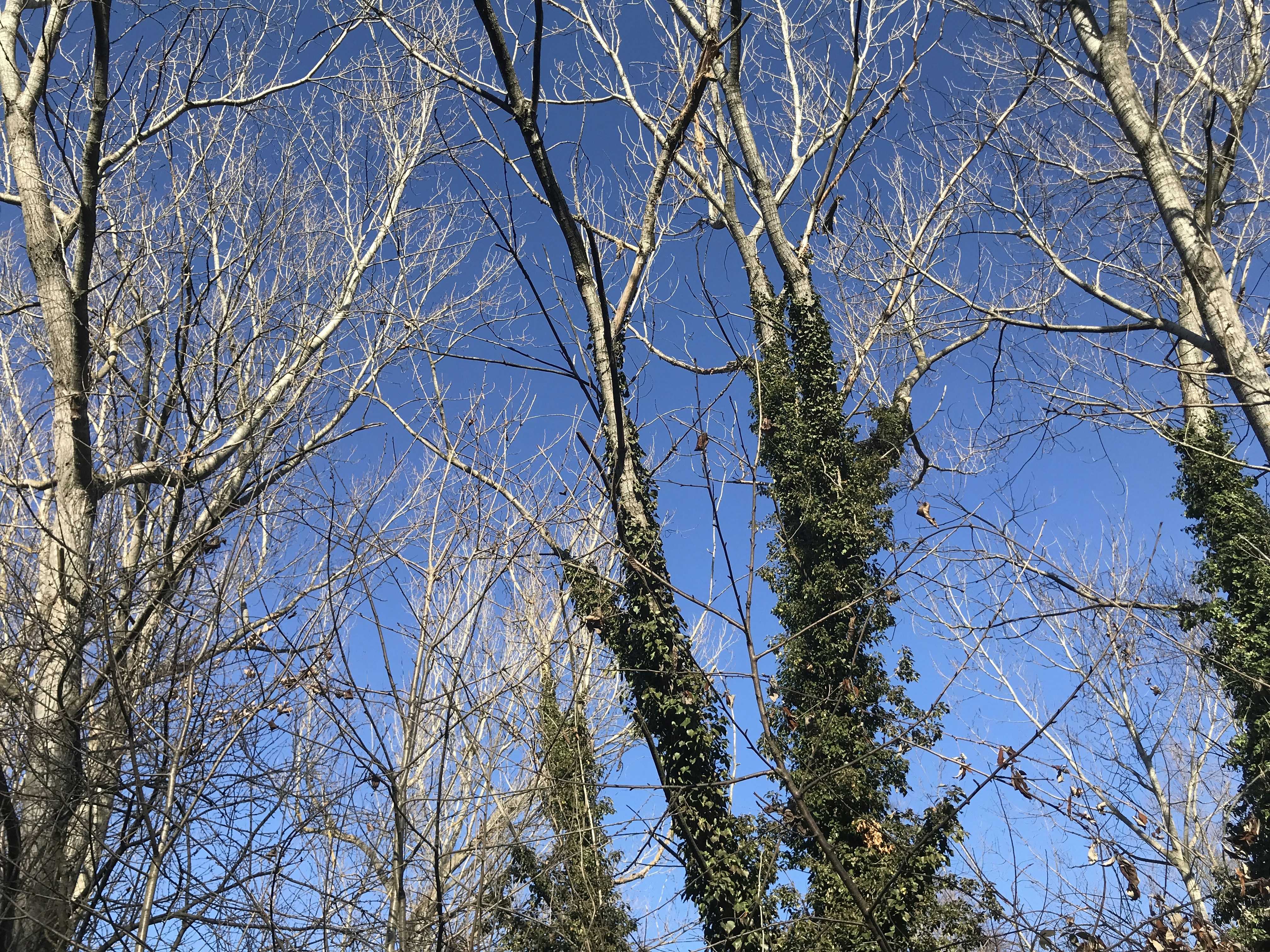 Photo by negolino031