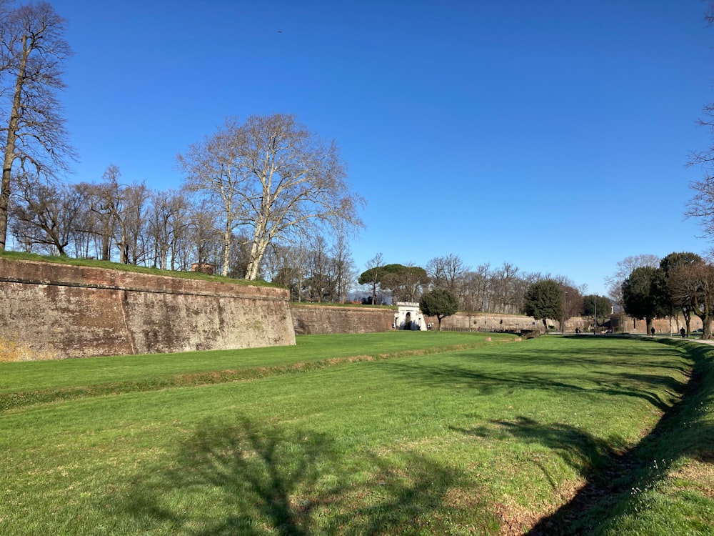 a grassy field with a stone wall in the background