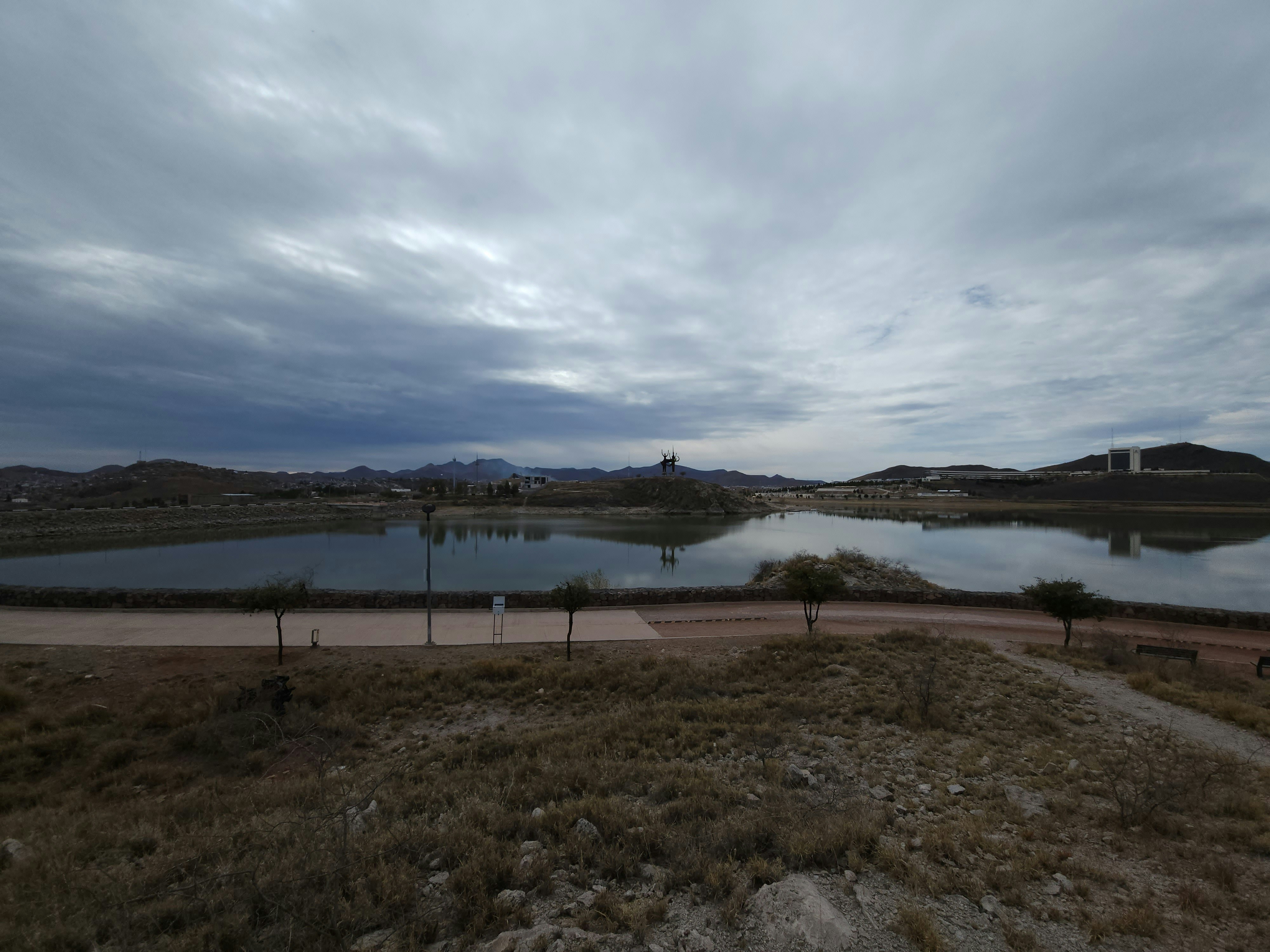 Photo by primalfelines