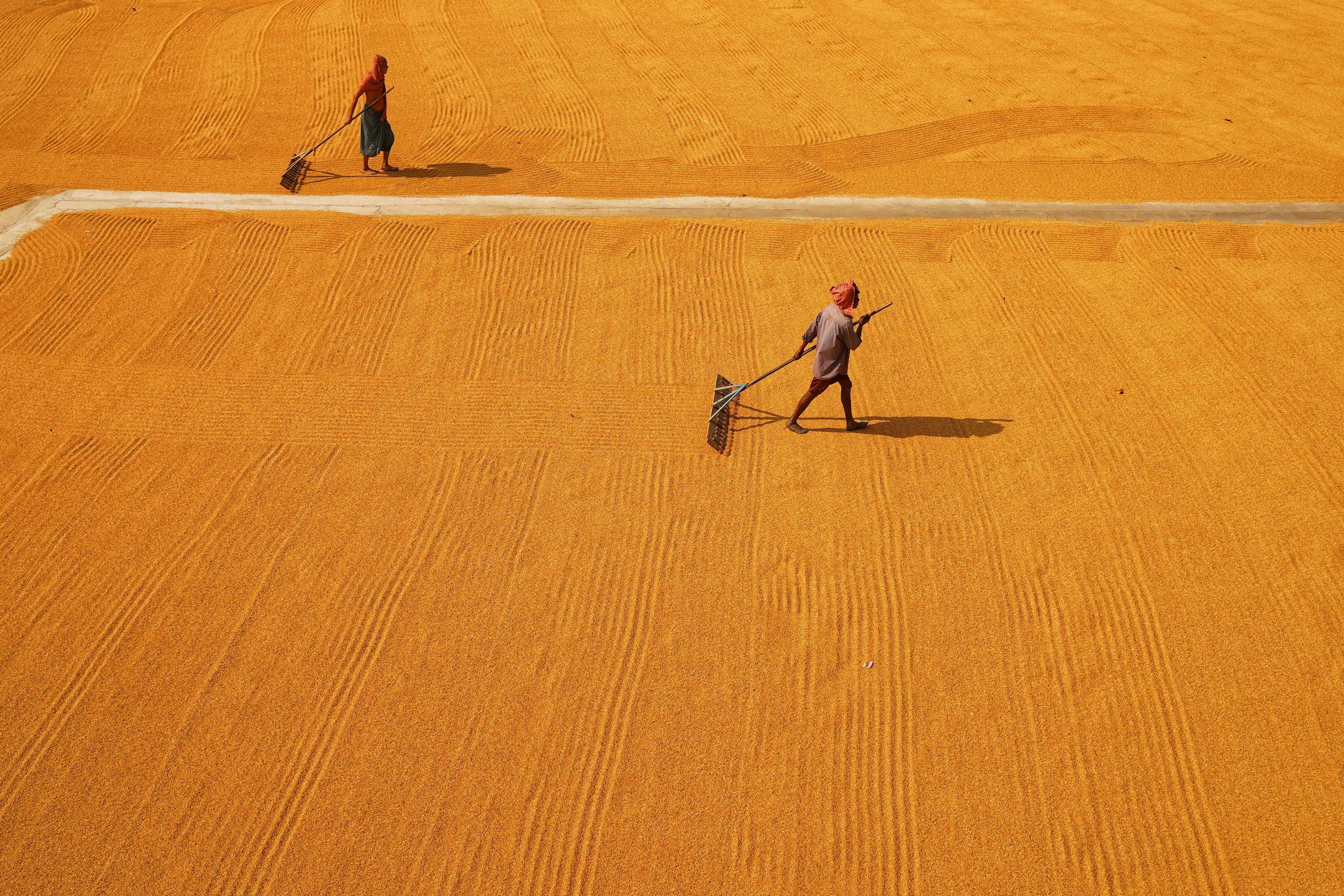 Photo by dibakar16roy