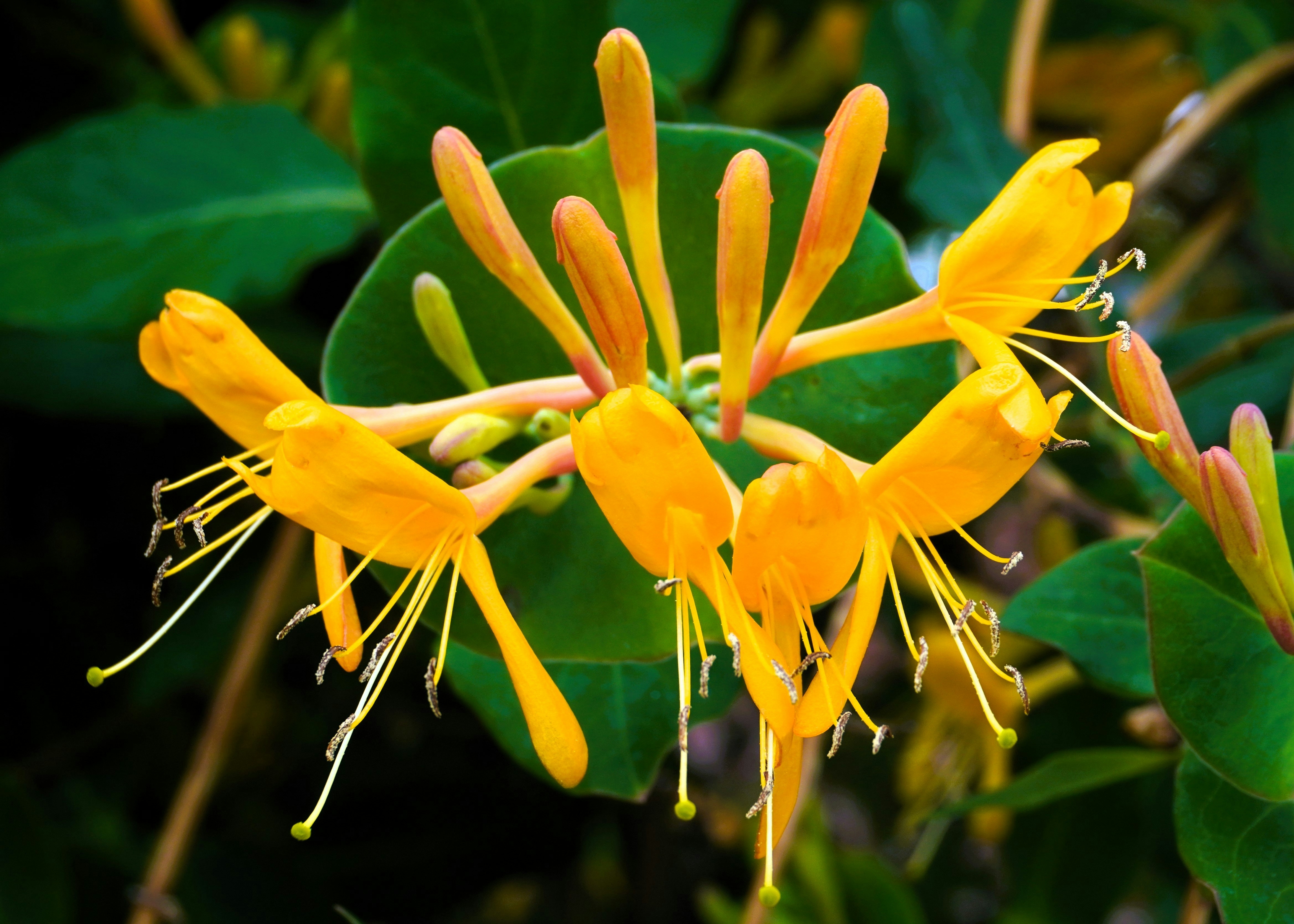 Albuquerque cityscape