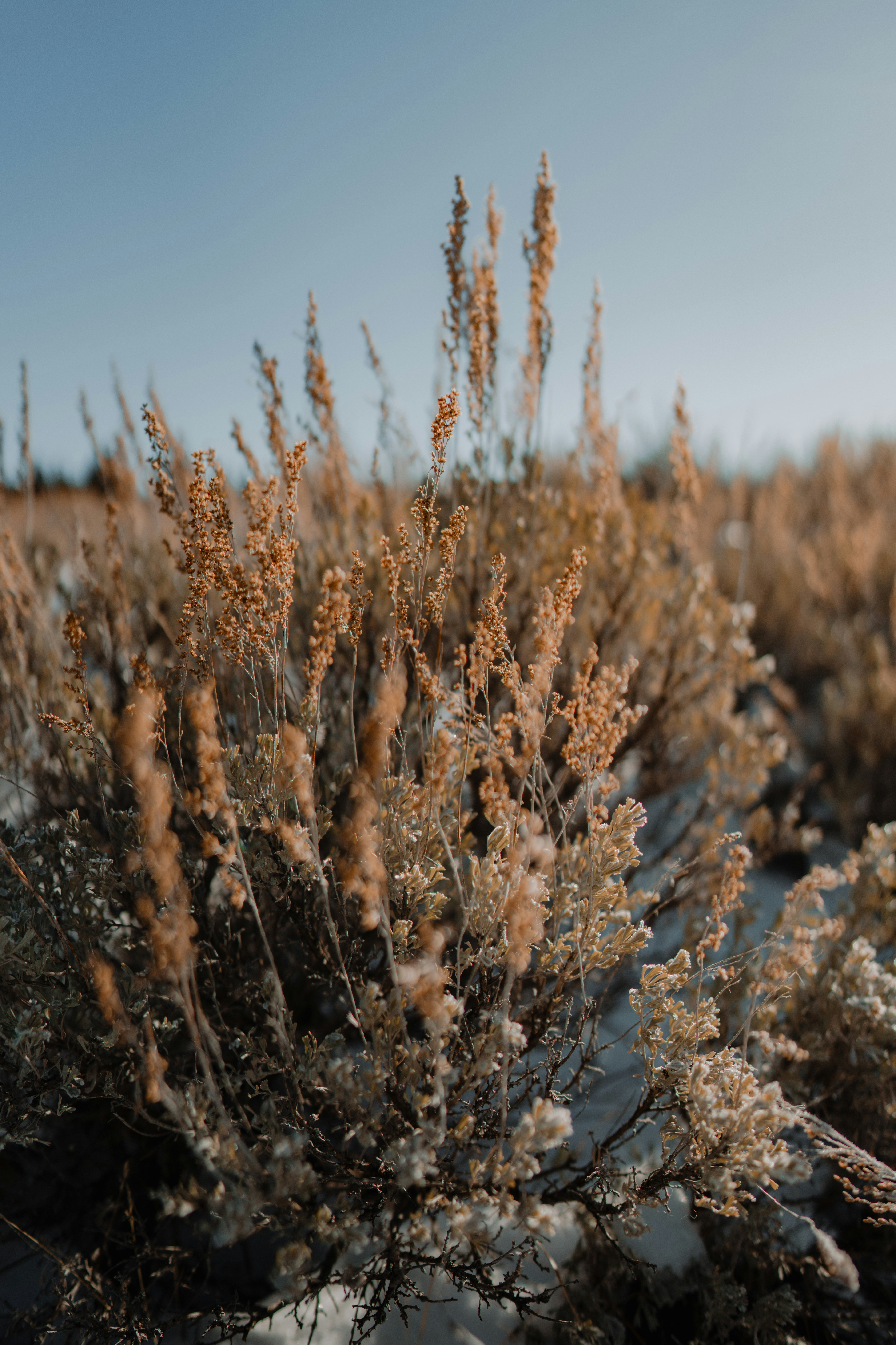 Photo by wonderhuntco