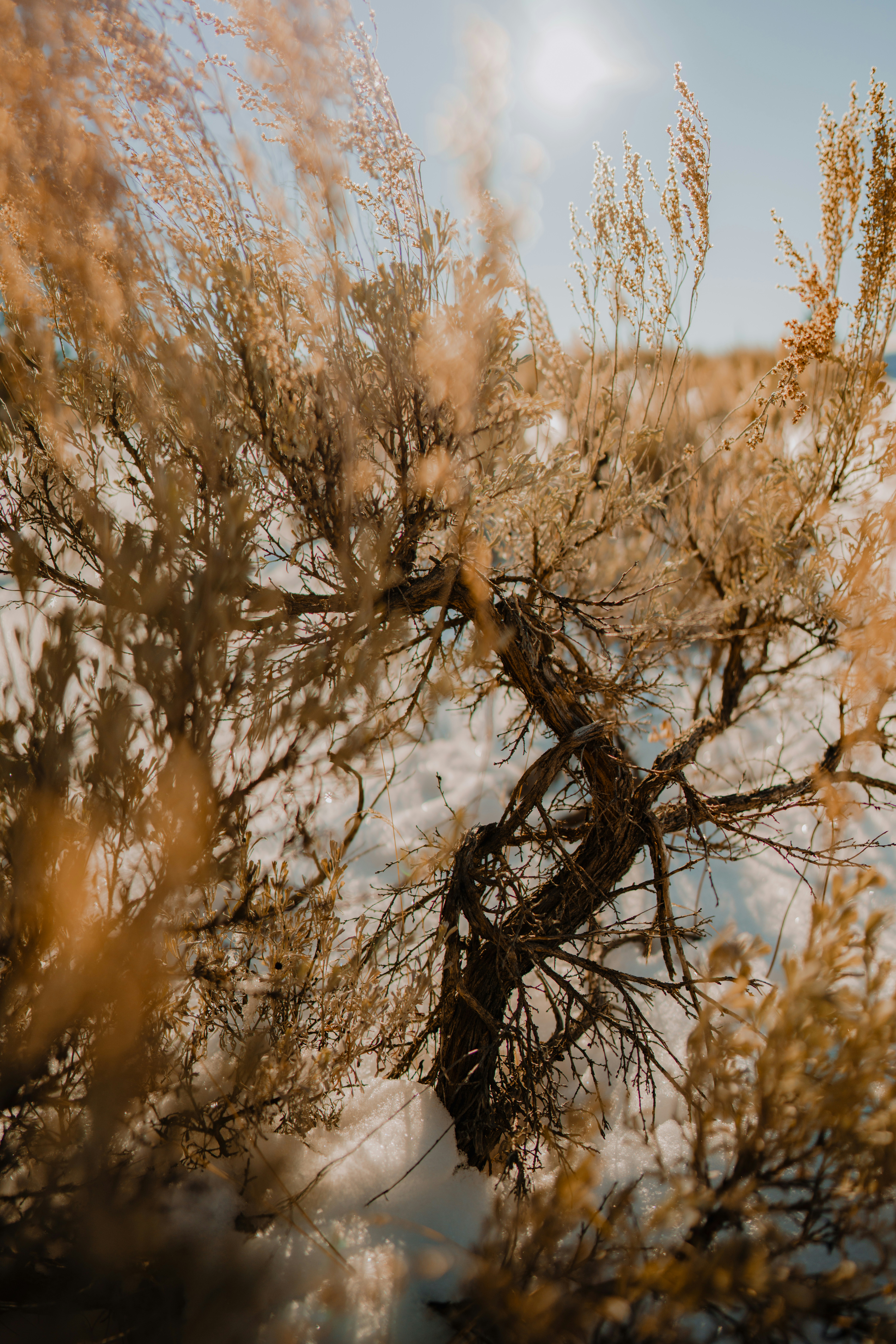 Photo by wonderhuntco