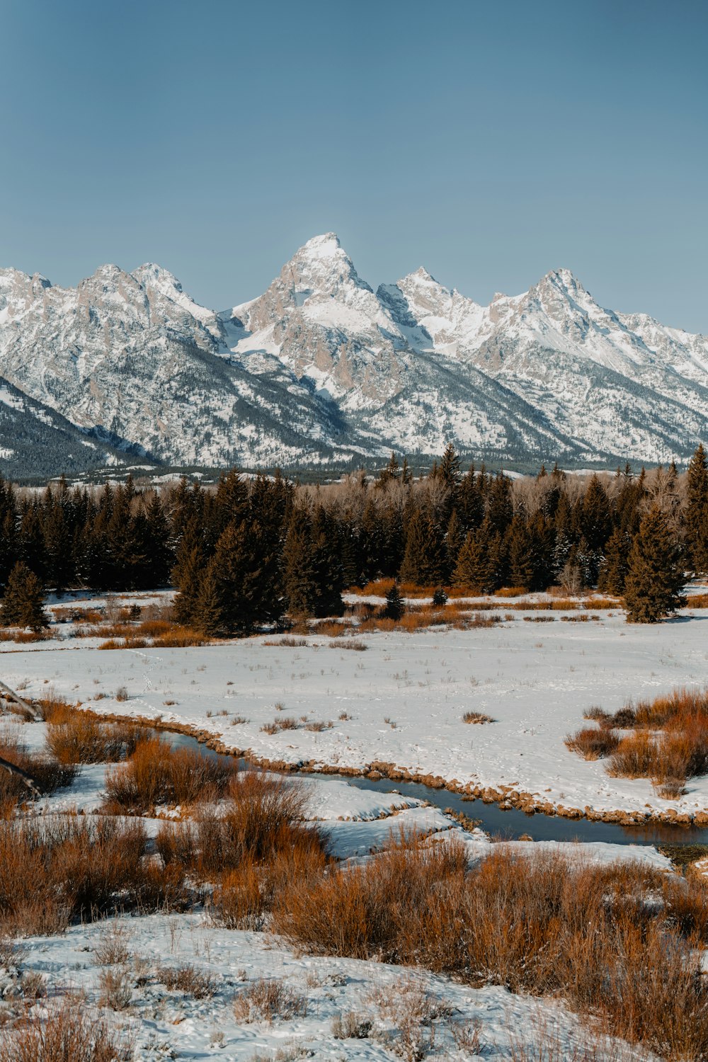 a snow covered field with mountains in the background