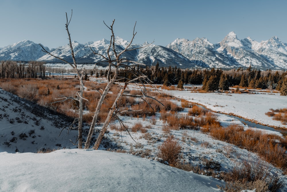 a snow covered field with mountains in the background