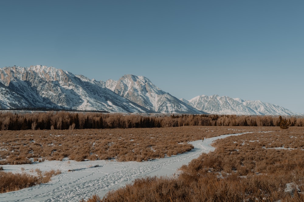 a snow covered field with a mountain range in the background