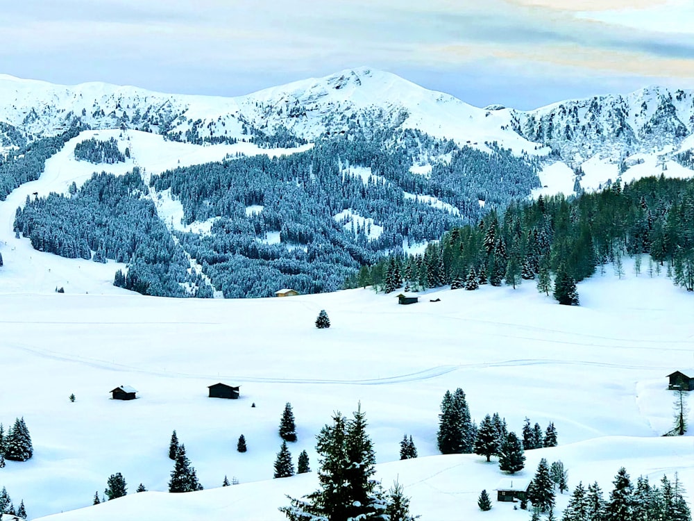 a snow covered mountain with trees and a sky background