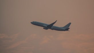 a large jetliner flying through a cloudy sky