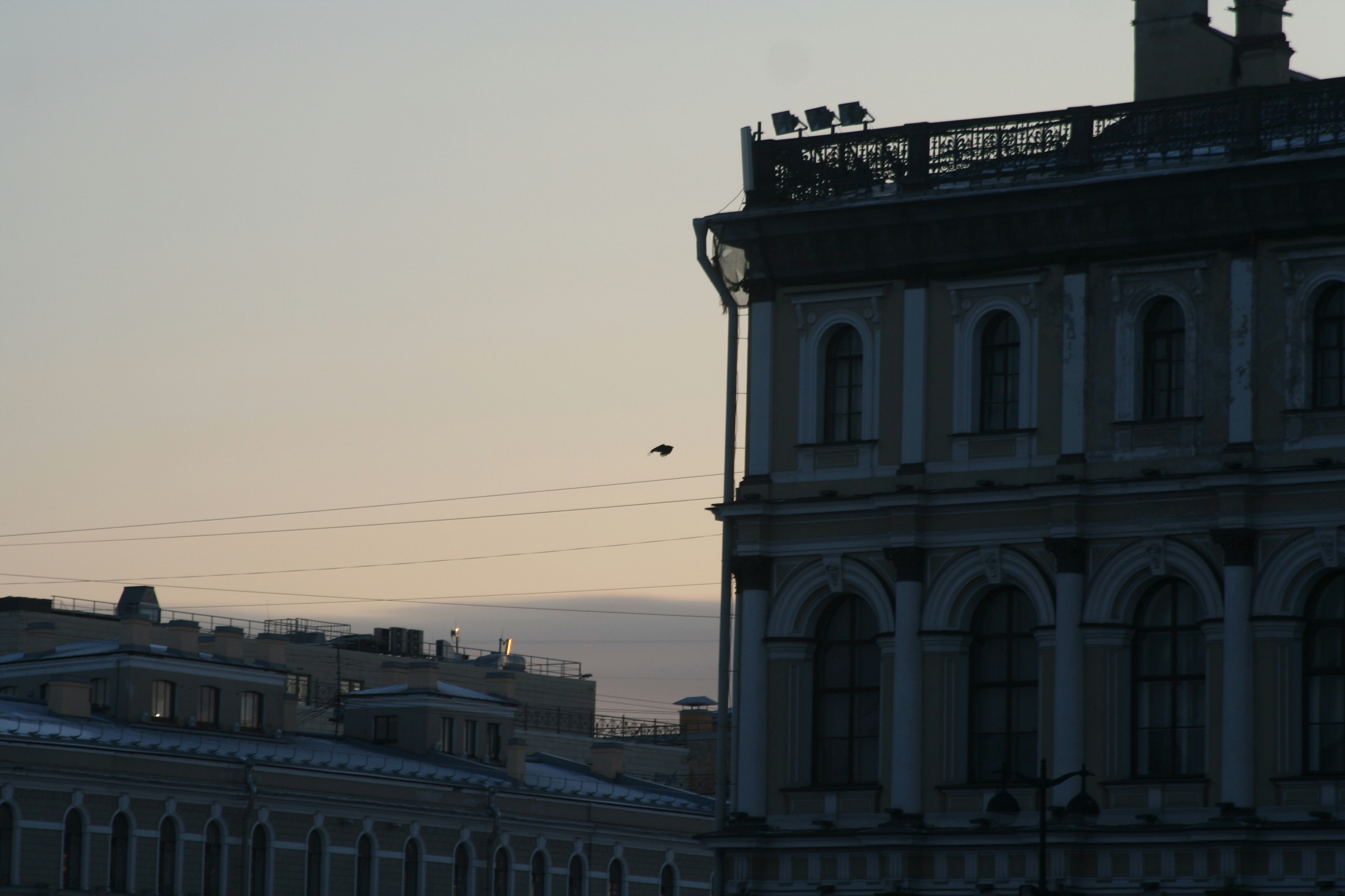 Photo by stepan_kaluzhskii