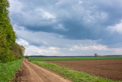 a dirt road in the middle of a field