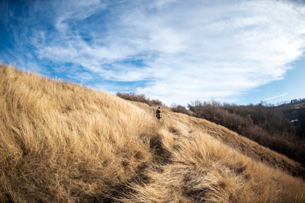 a person walking up a hill with a sky background