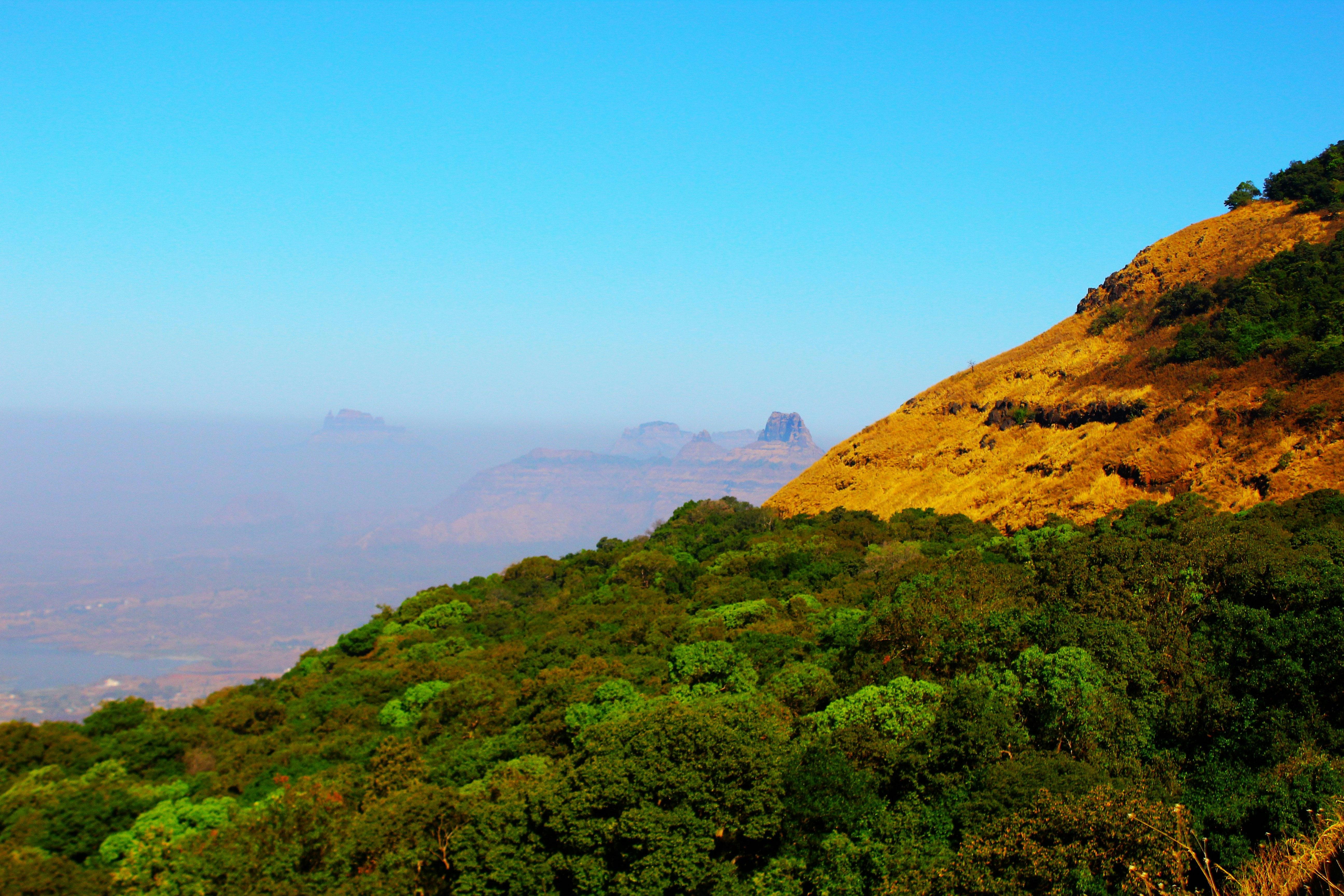 Image credit: srinivas Kodali via unsplash
Tourist places in Maharashtra, places to viit in Maharashtra