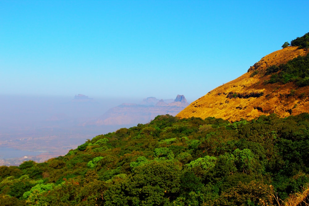 a view of a mountain with trees on the side of it