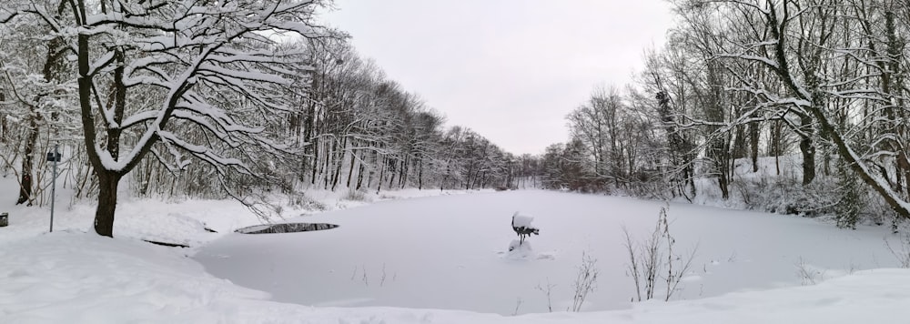 a pond surrounded by snow covered trees in a forest