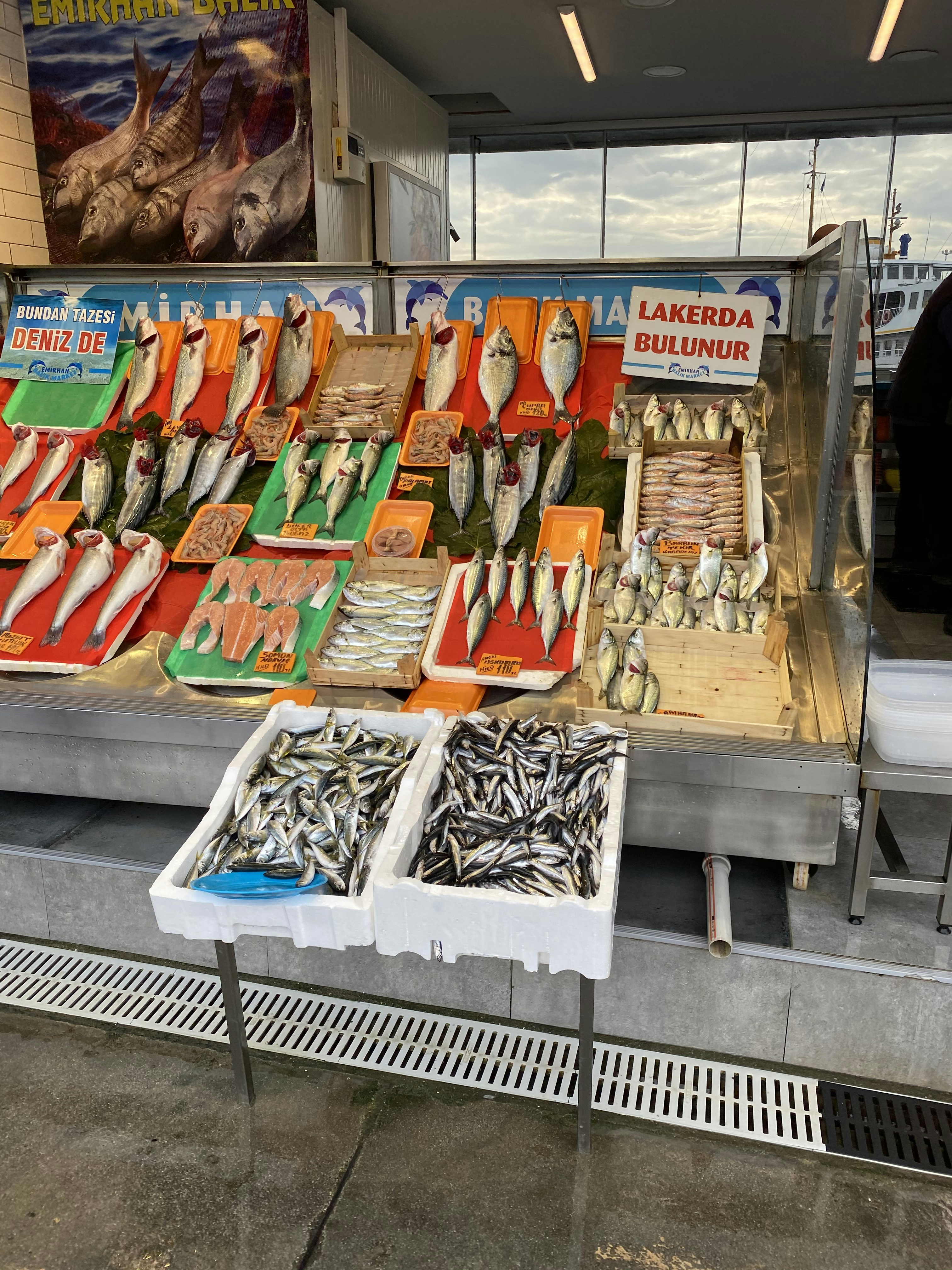 Fresh fish laid out on ice at a bright Sri Lankan seafood market stall