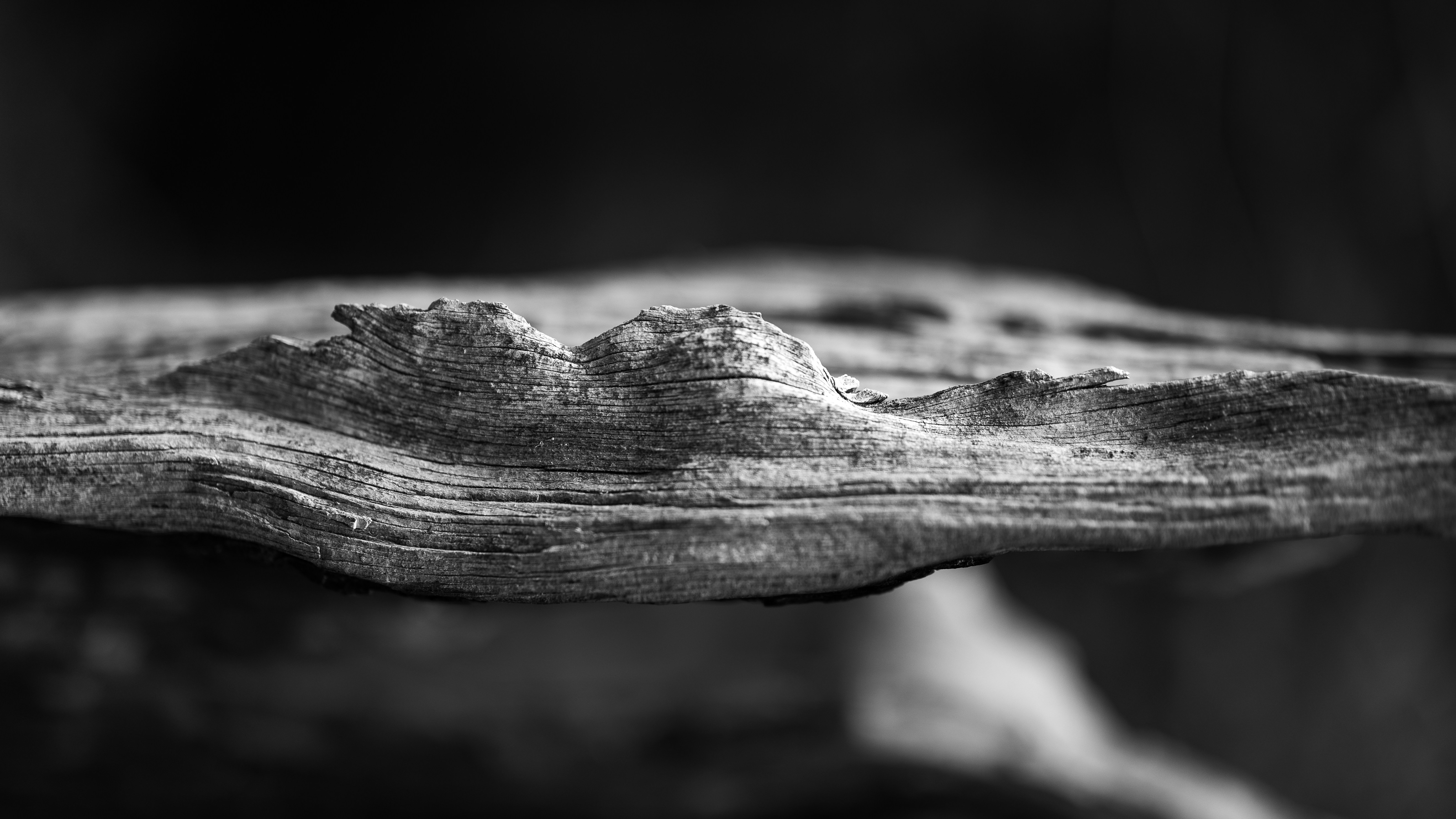 Photo by marekpiwnicki