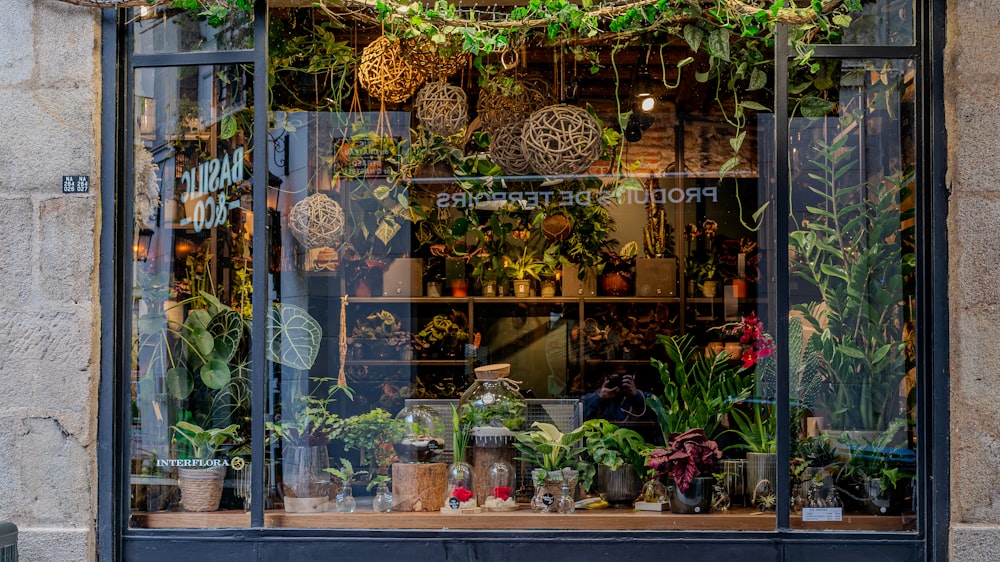 a store front with a lot of plants in the window