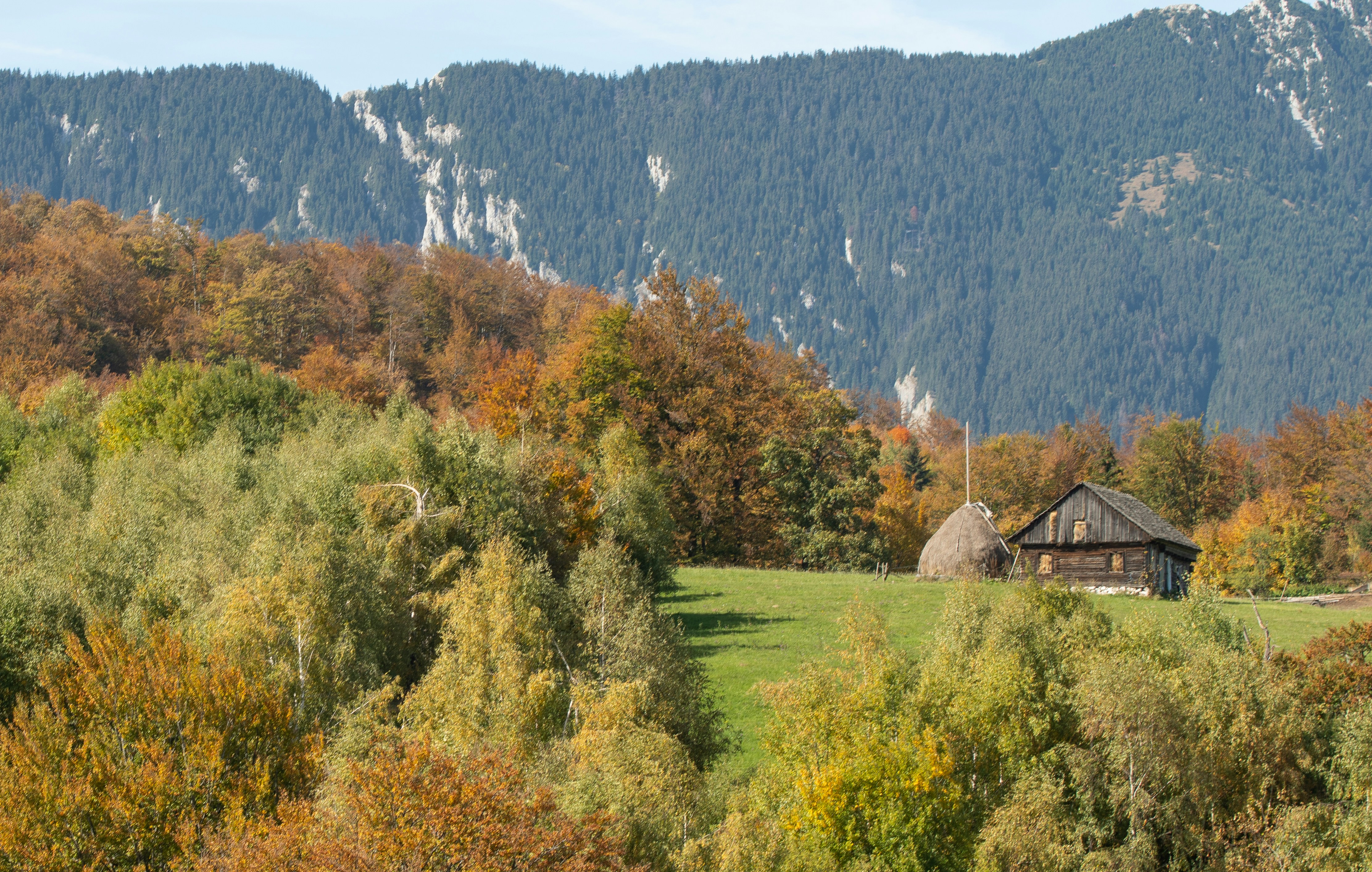 a house in the middle of a forest with mountains in the background