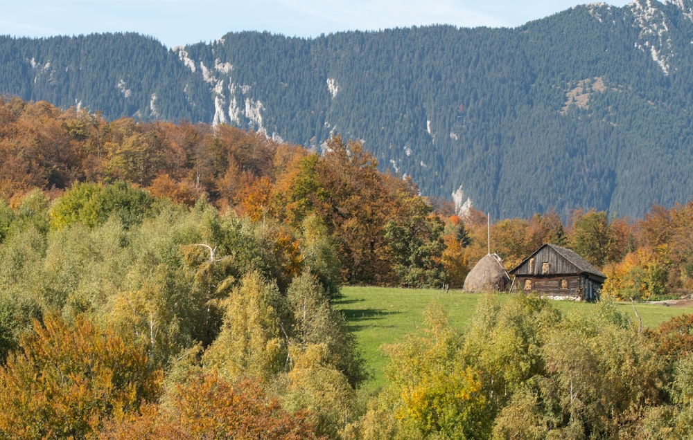 a house in the middle of a forest with mountains in the background