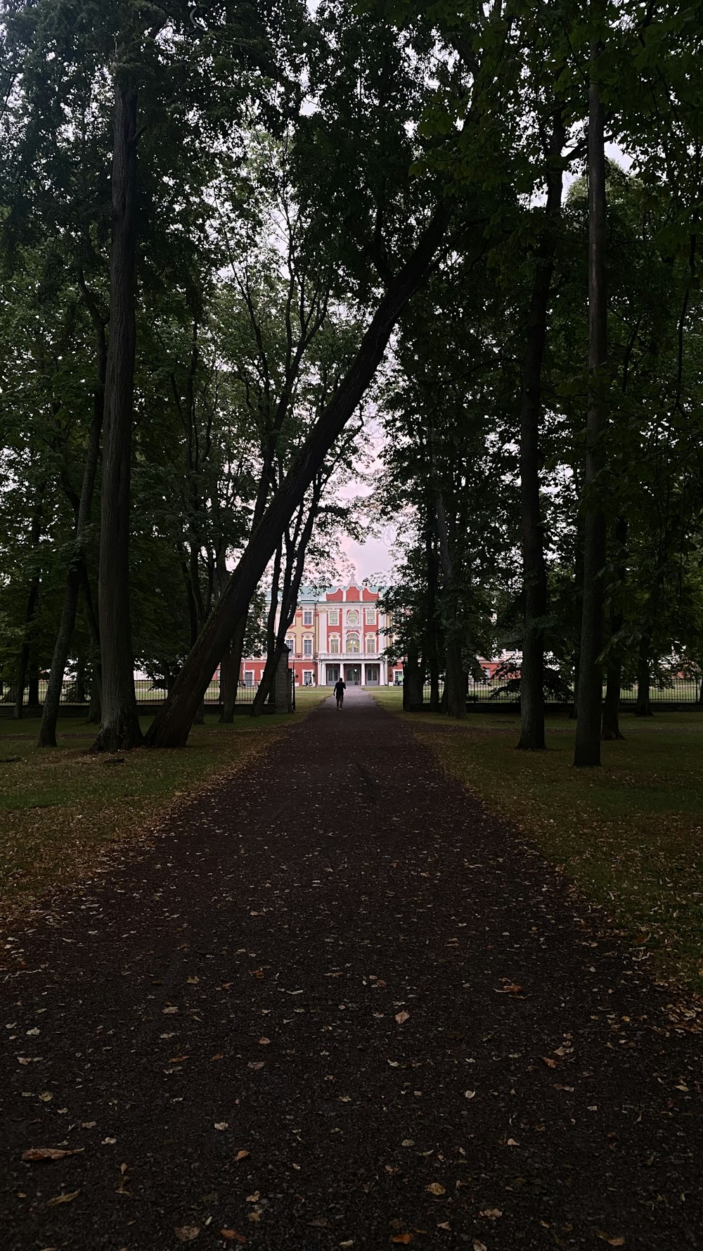 a path in the middle of a park lined with trees