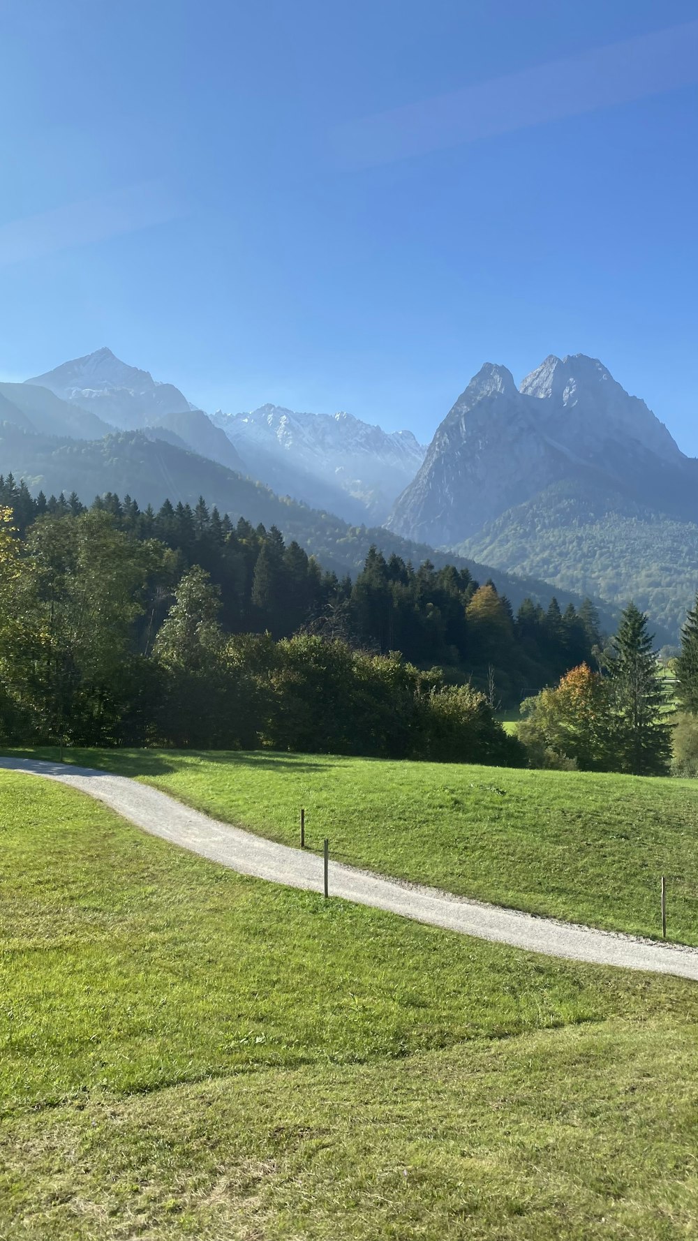 a grassy field with mountains in the background