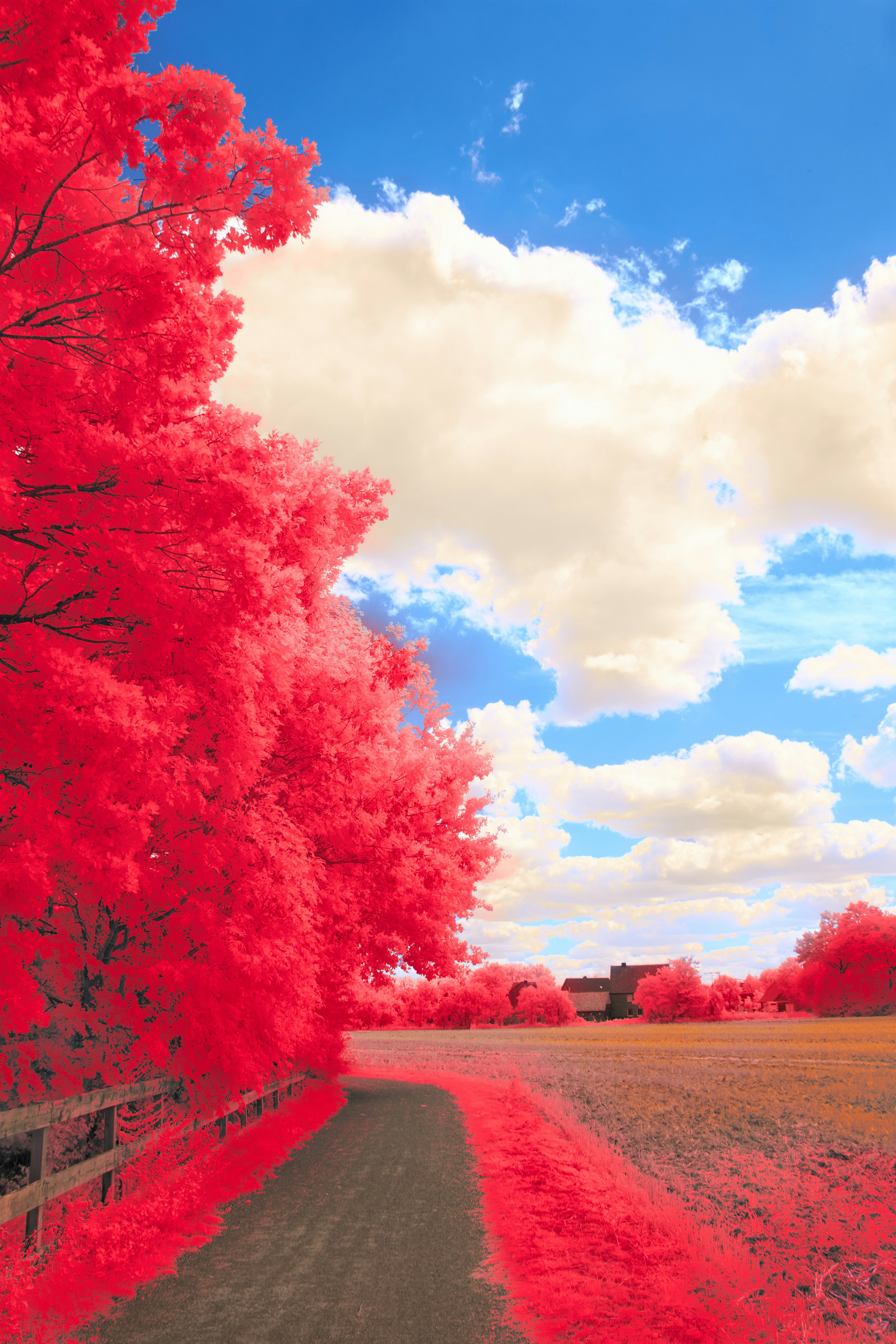 Photo by wolfgang_hasselmann