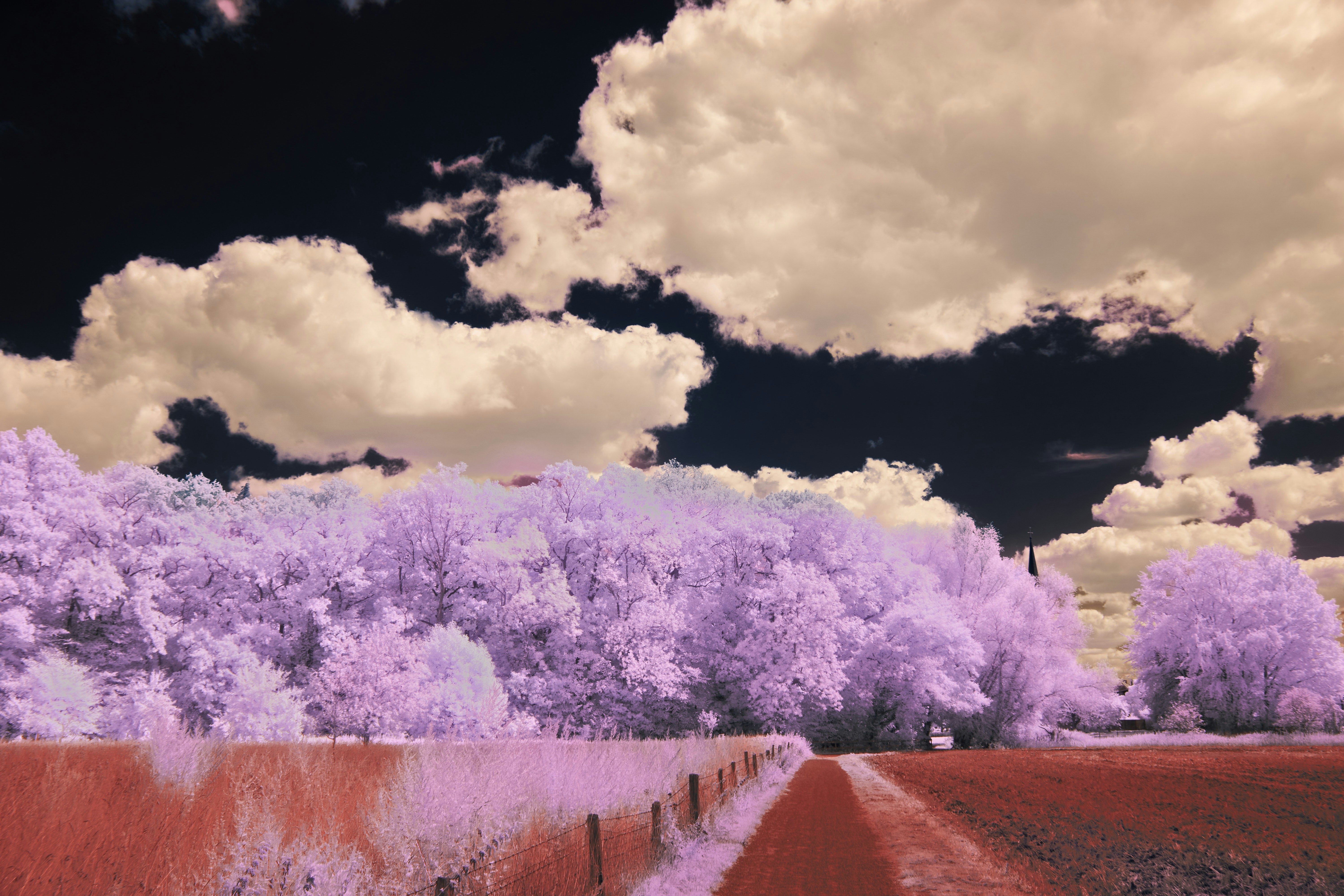 Photo by wolfgang_hasselmann