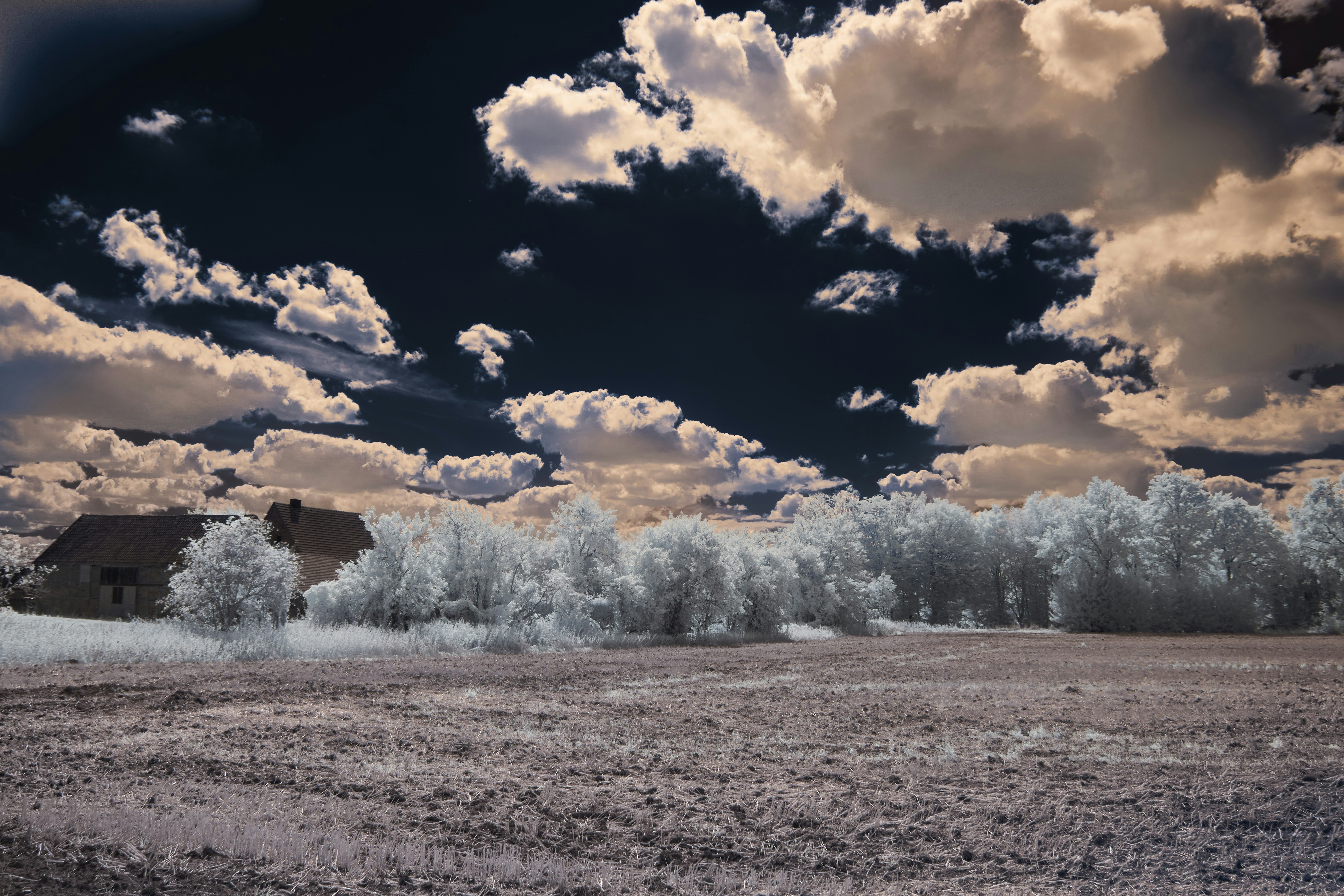 Photo by wolfgang_hasselmann