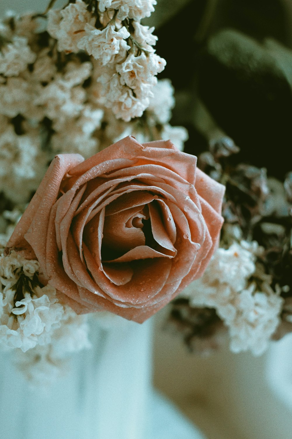 a close up of a flower in a vase